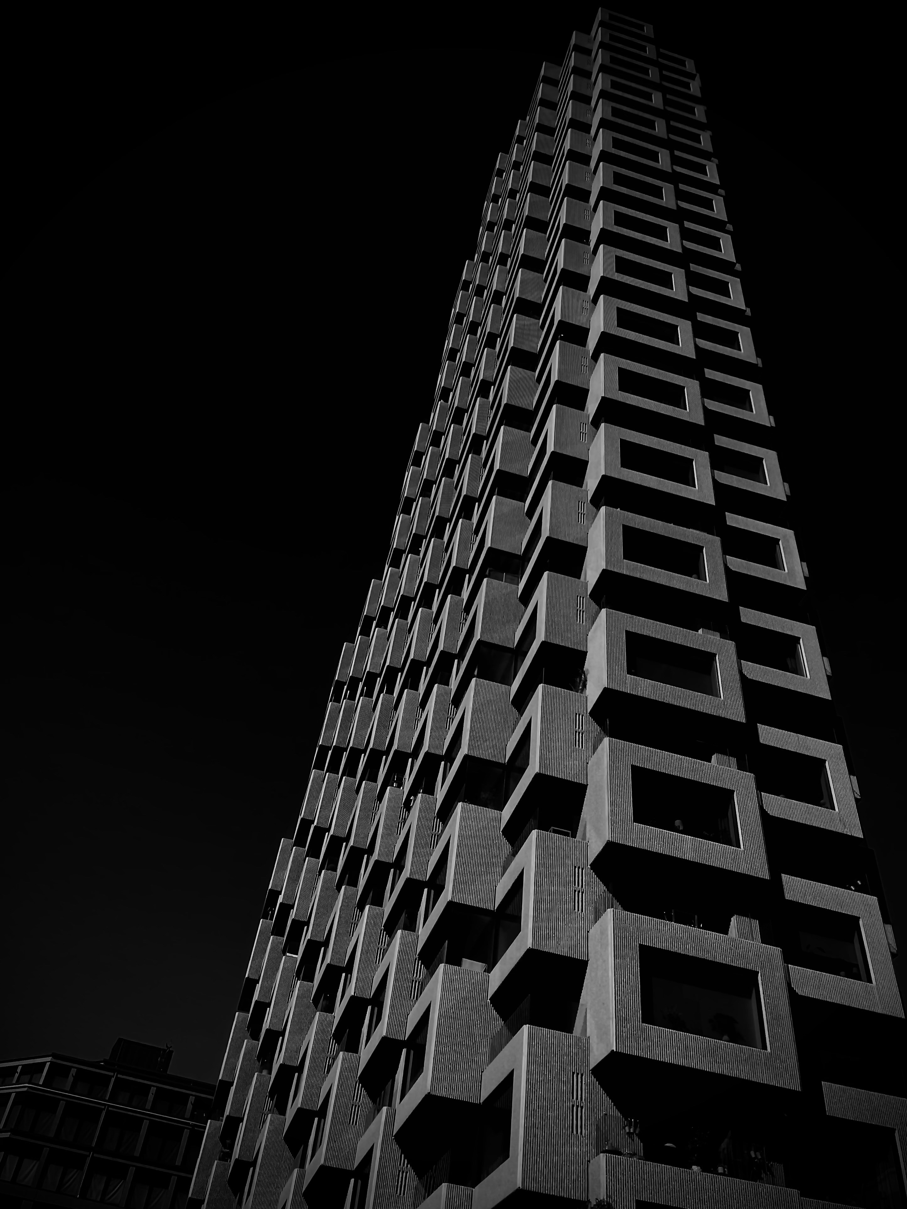 Photo by carpelight_