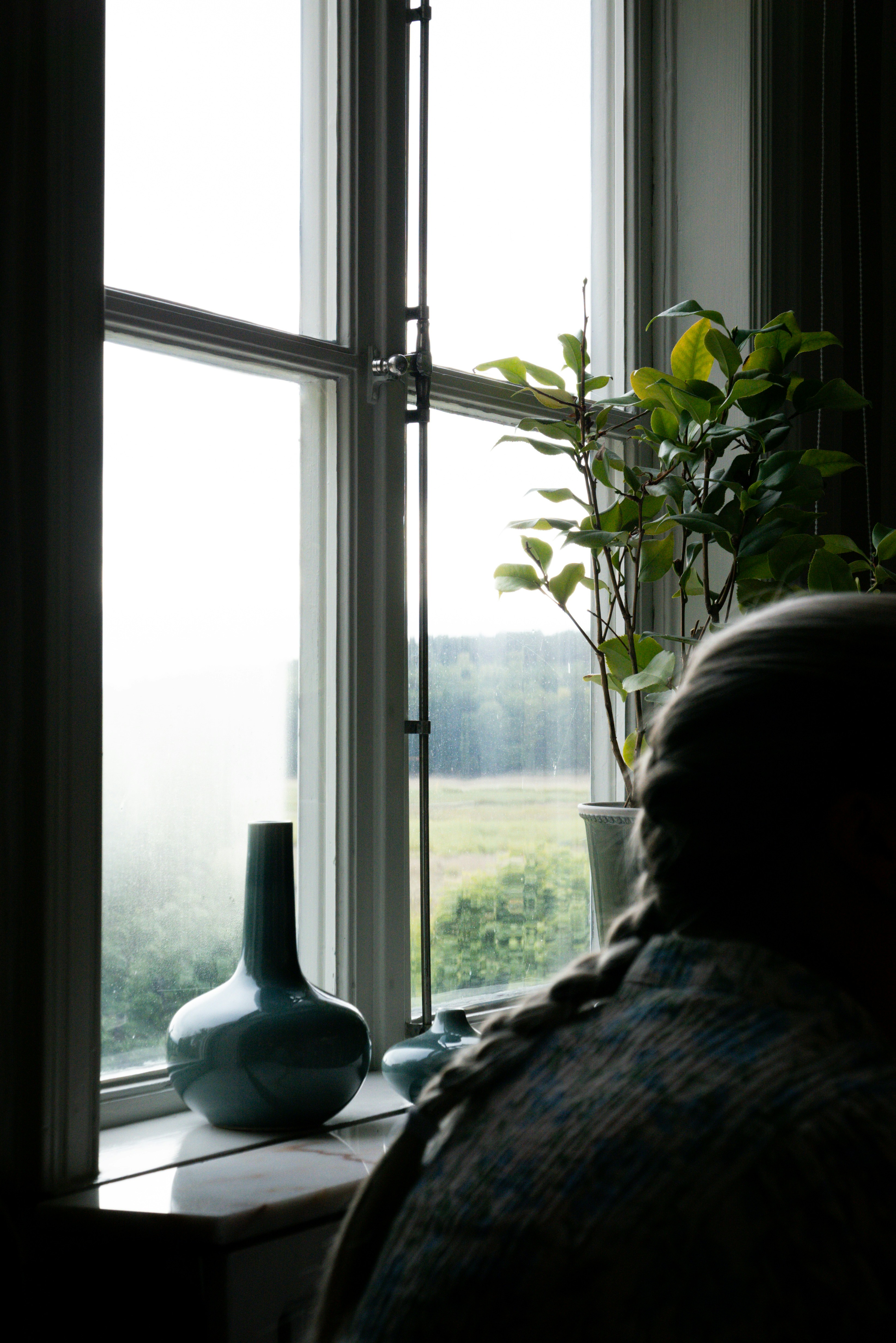 someone looking out a window with a plant nearby