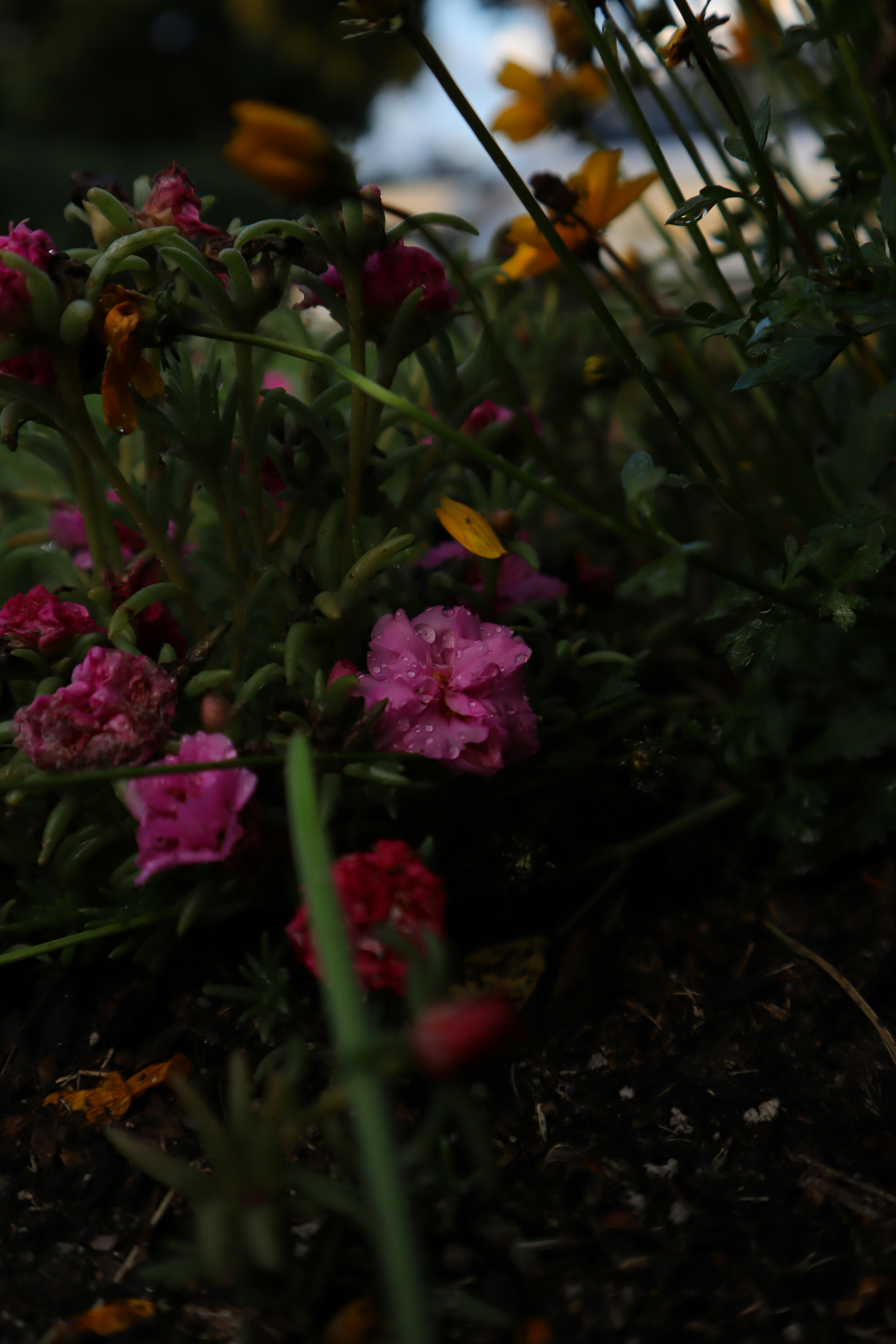 Photo by lisakvictor