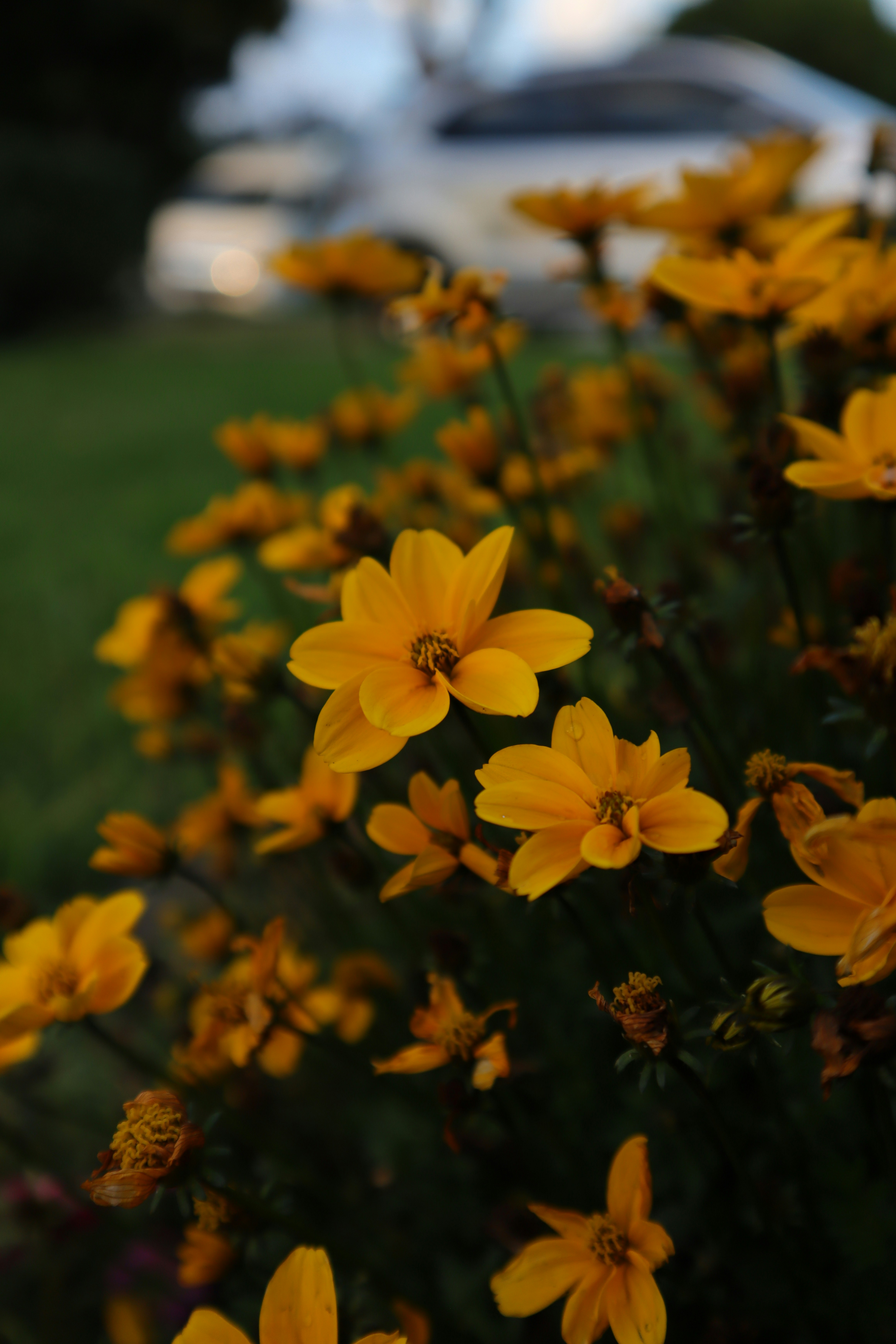 Photo by lisakvictor