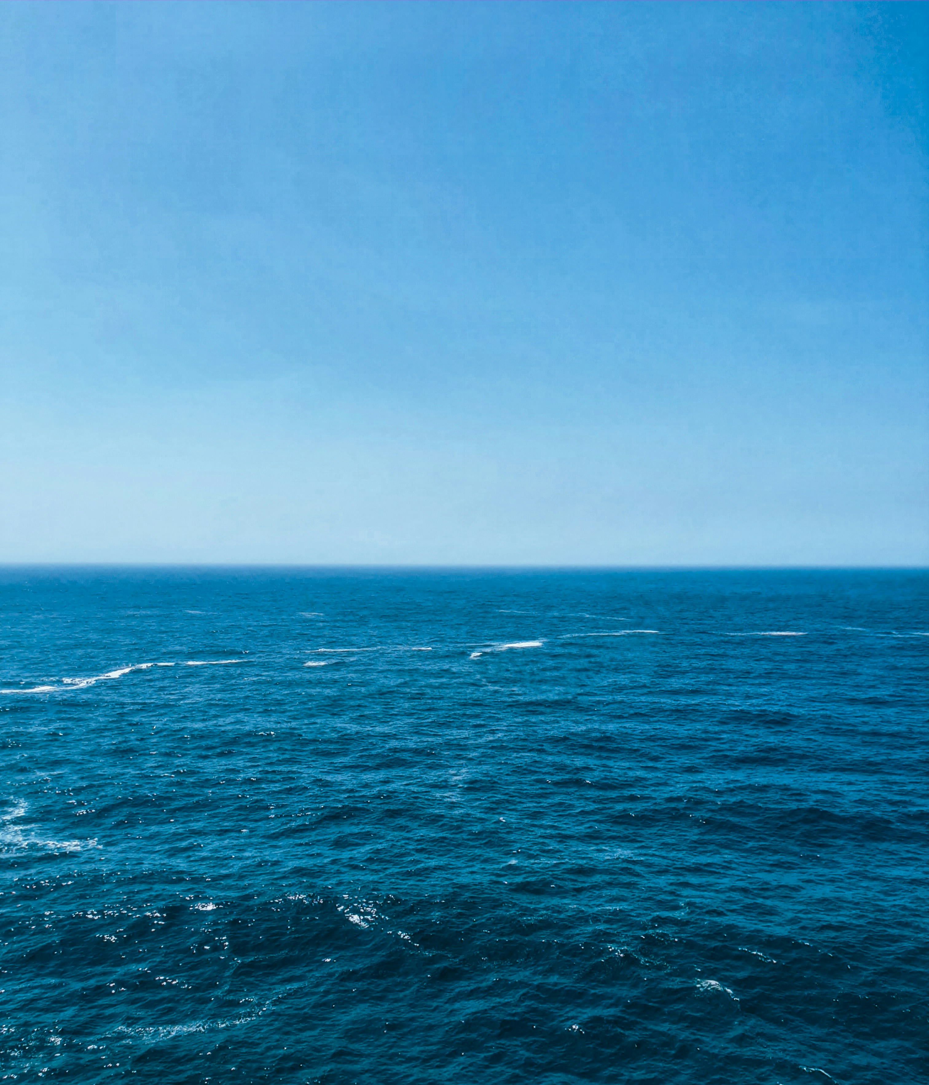 Photo by gammalilith