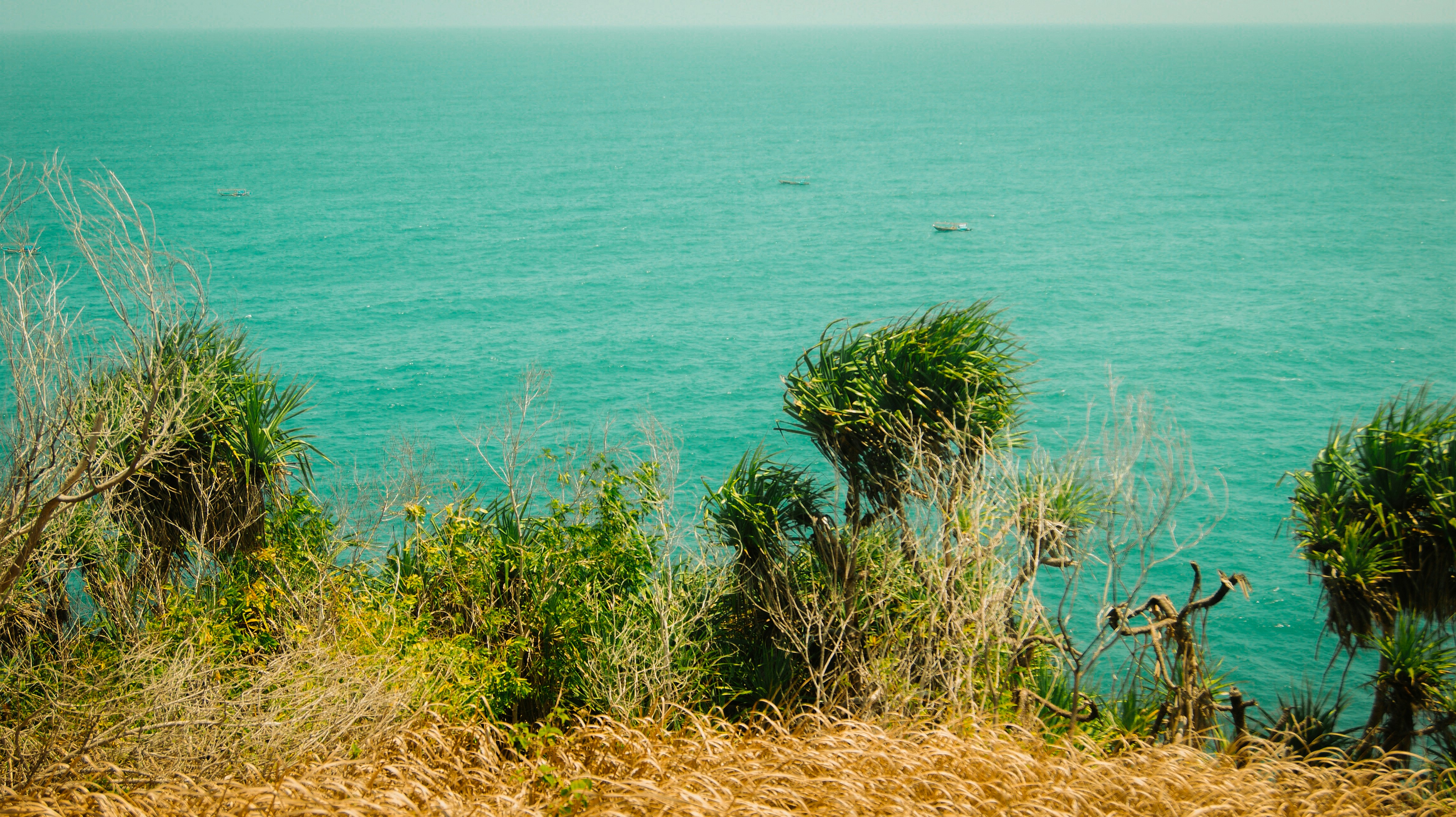 Photo by gammalilith