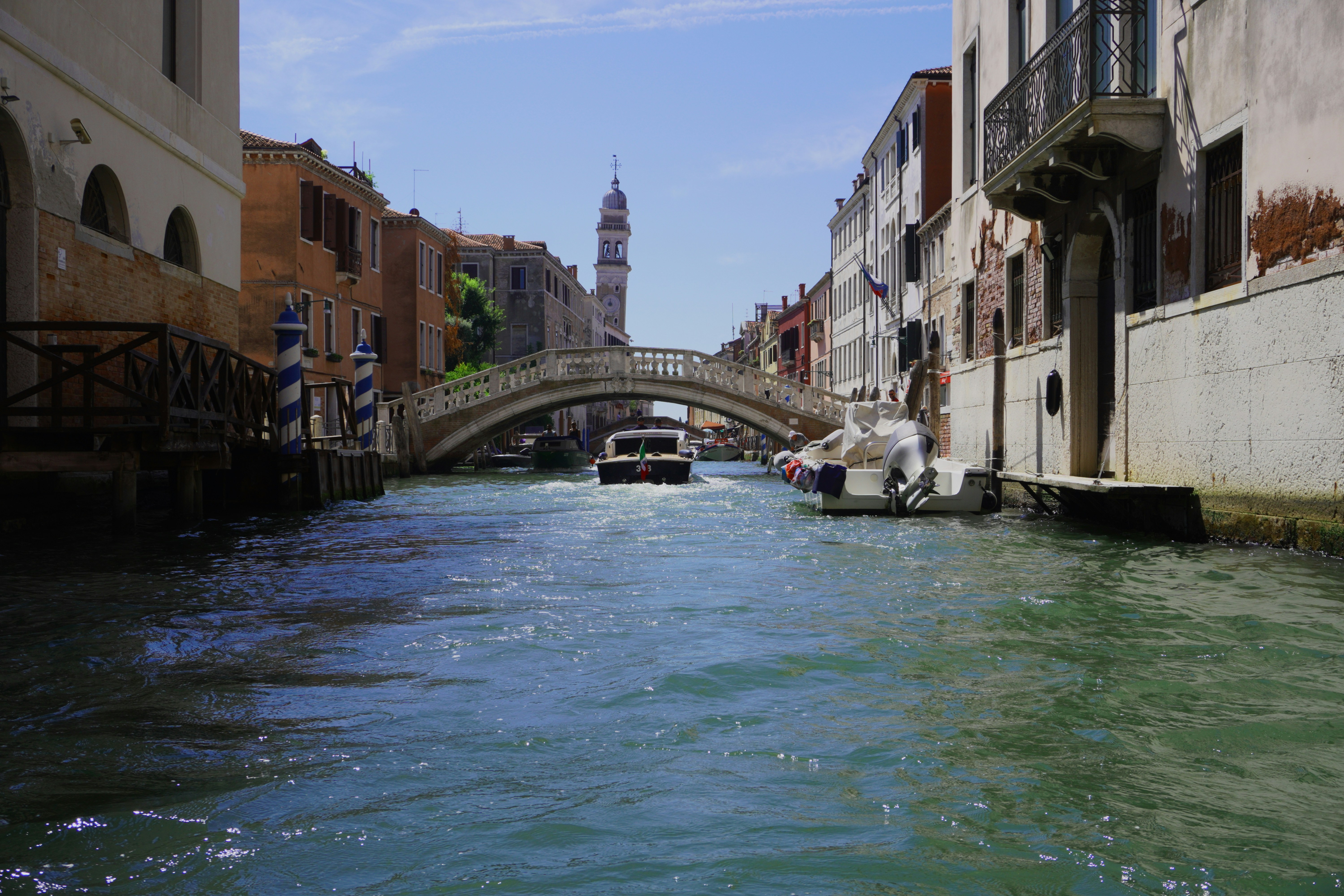 Photo by photosbymaple