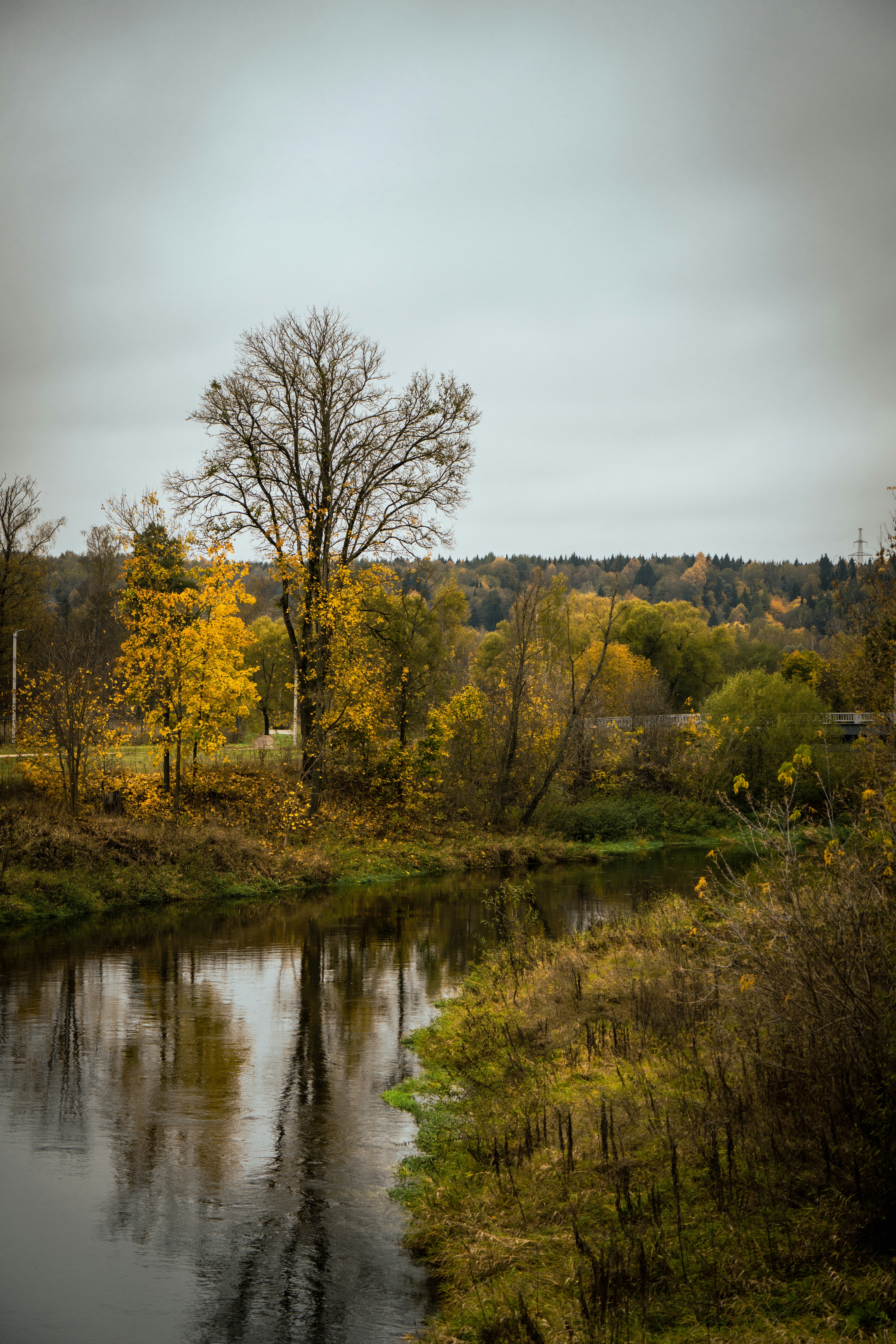 Photo by hellaren