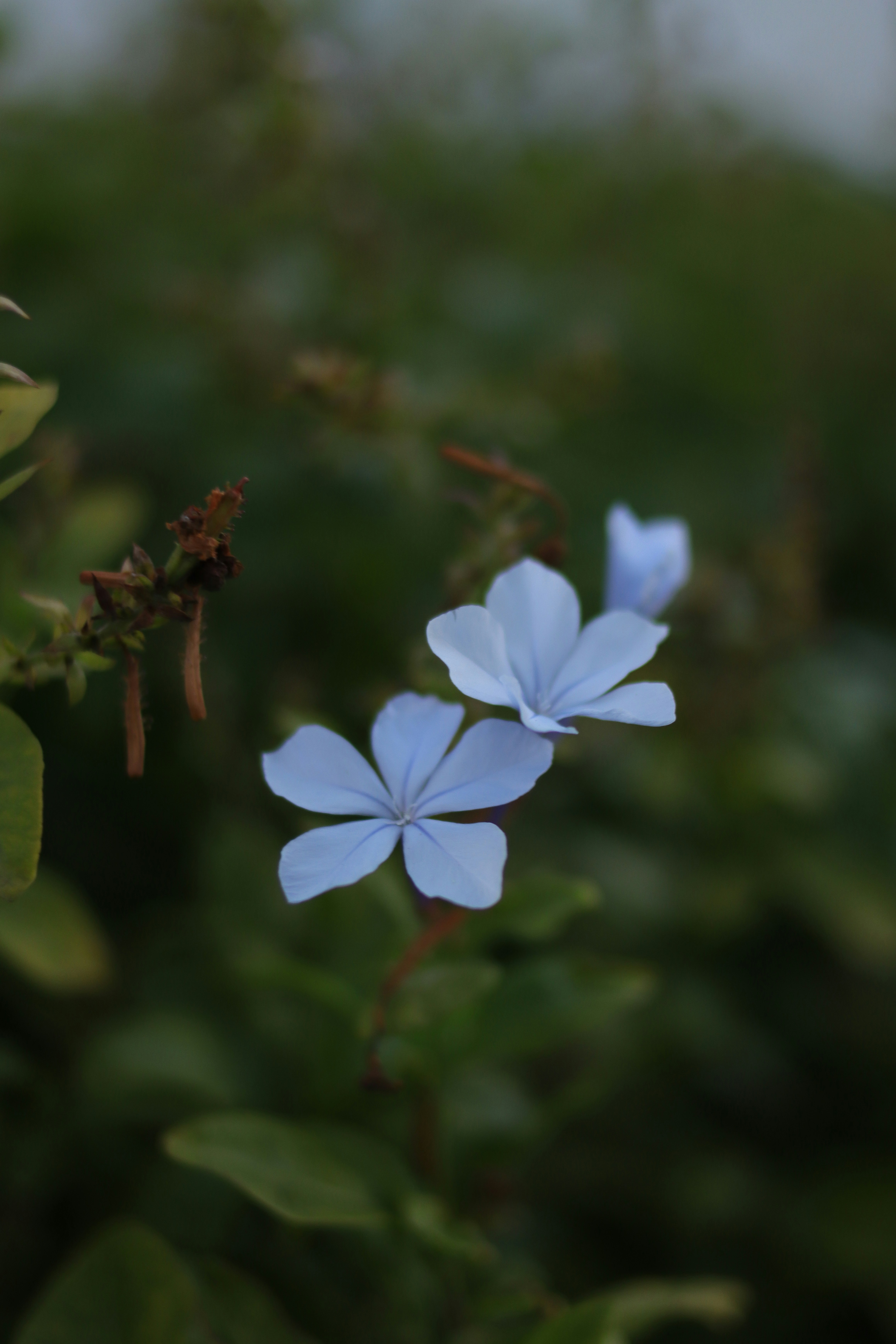 Photo by lisakvictor