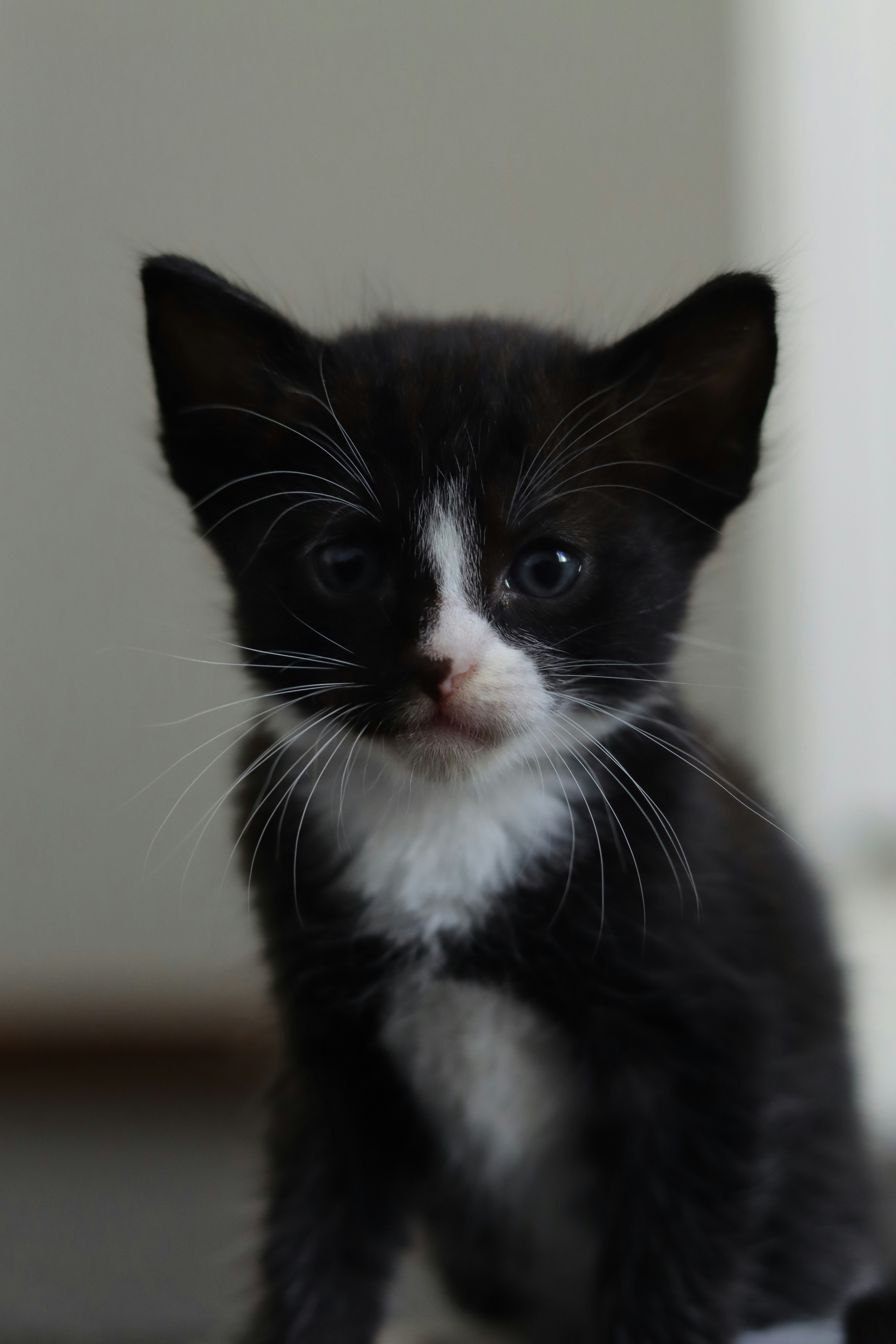 Photo by lisakvictor