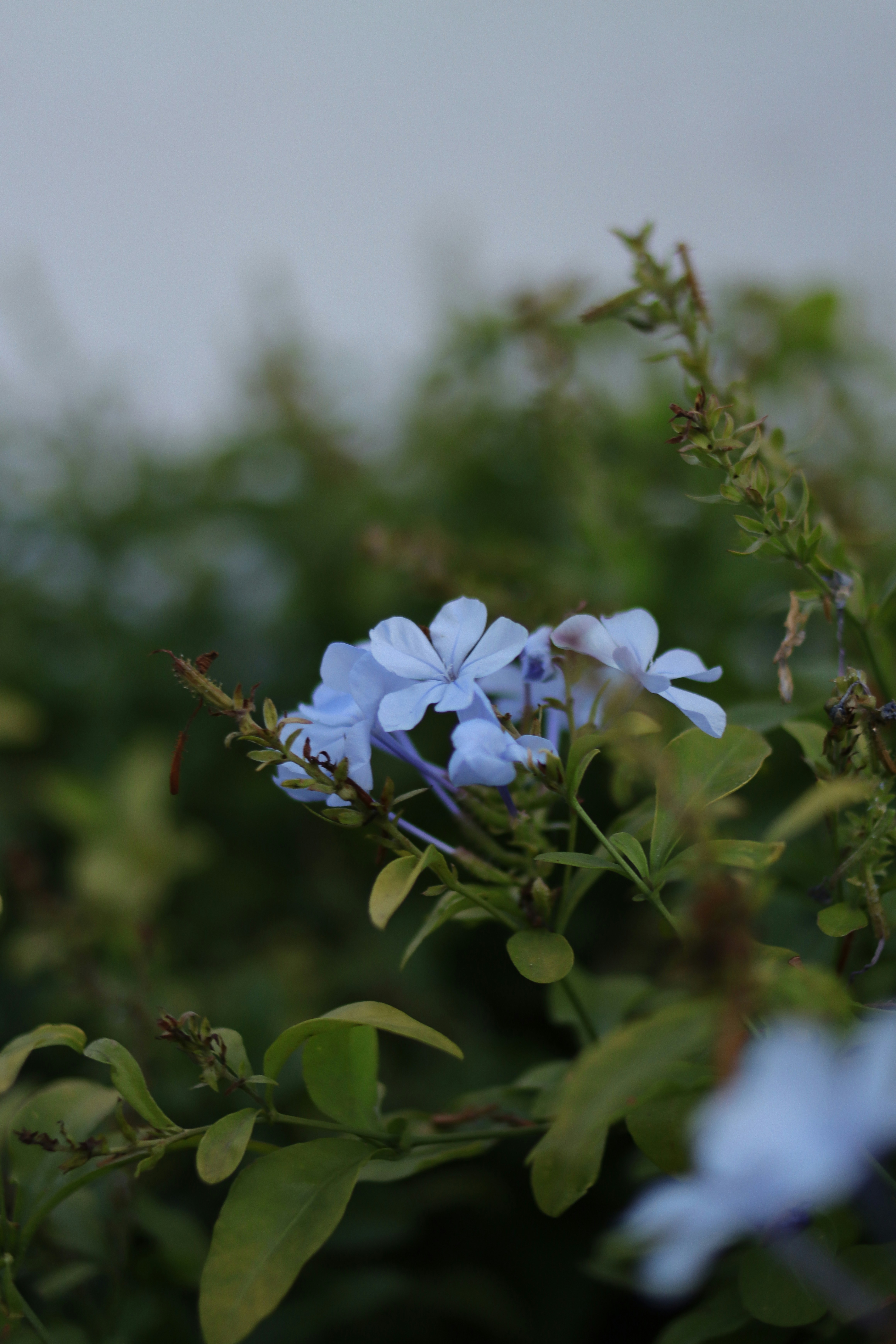 Photo by lisakvictor