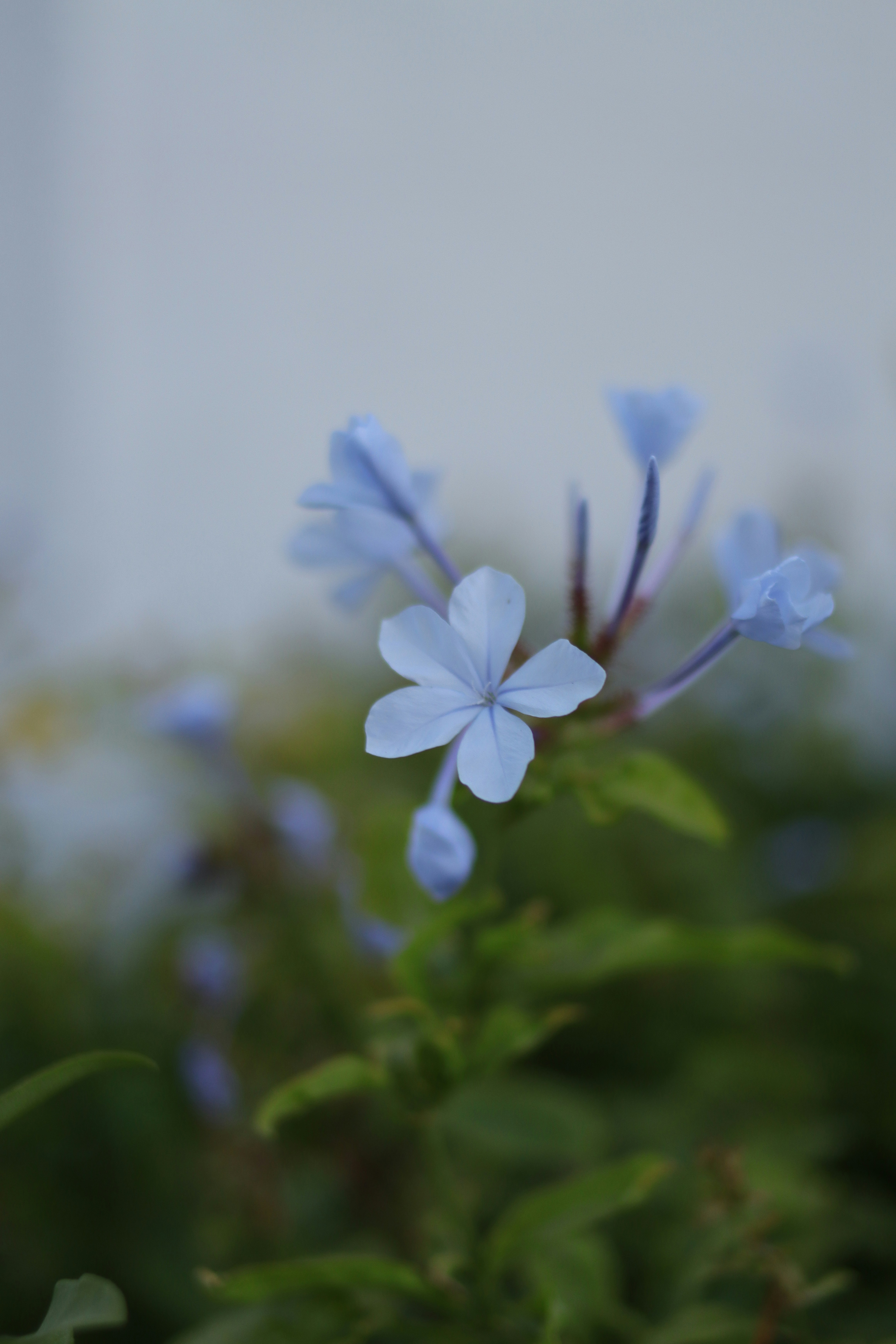 Photo by lisakvictor