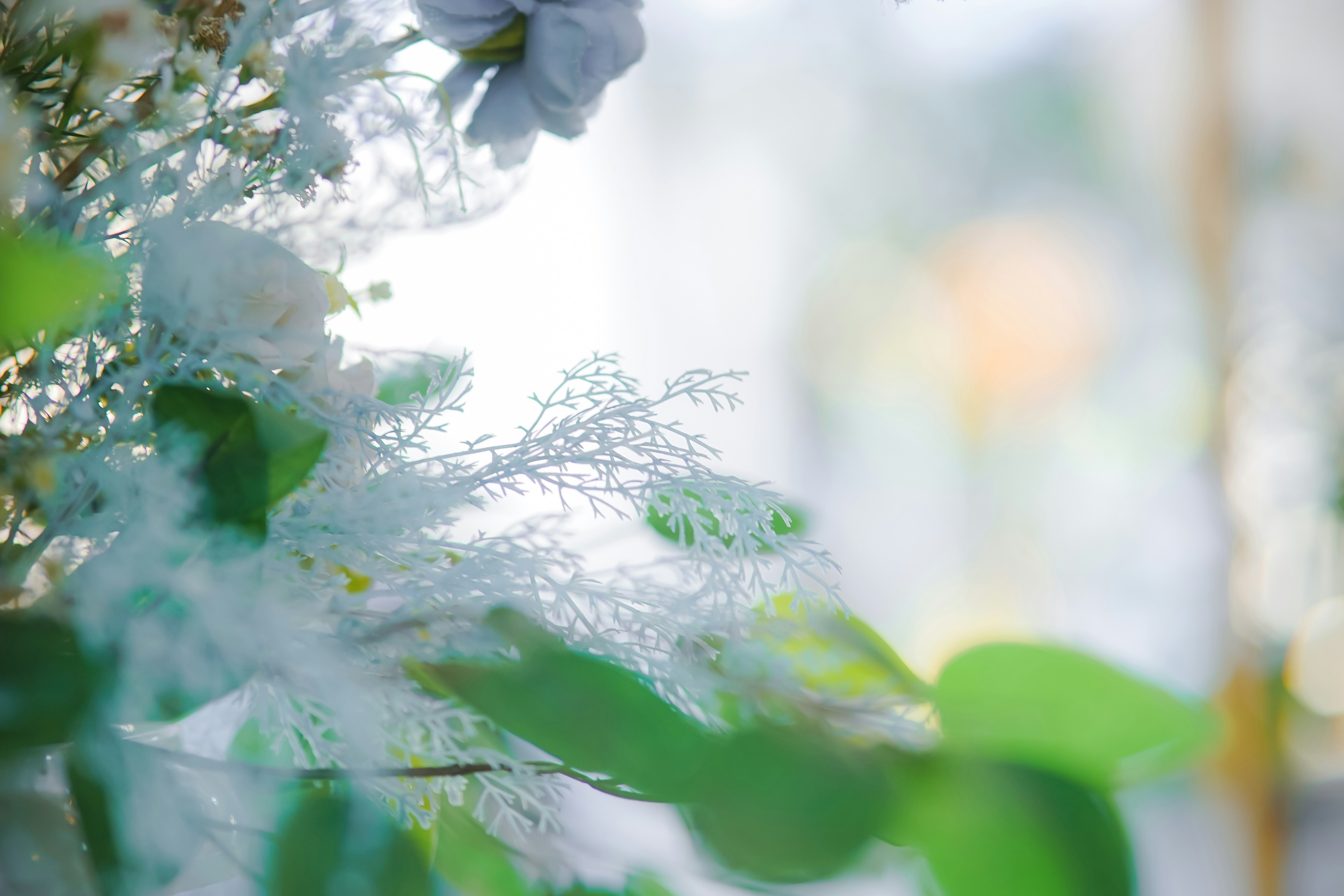A close up of a plant with blue flowers