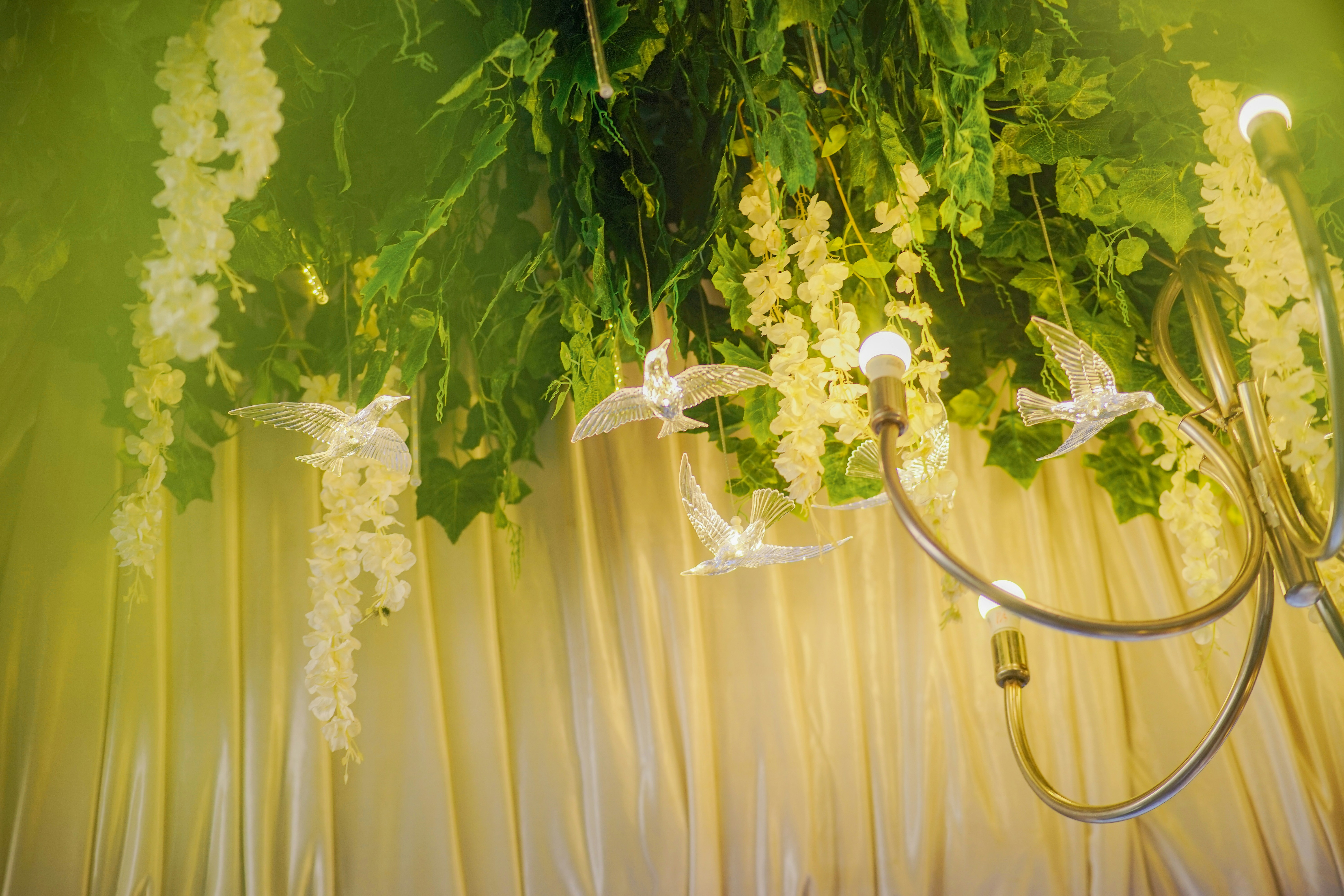 A bunch of green plants hanging from a ceiling