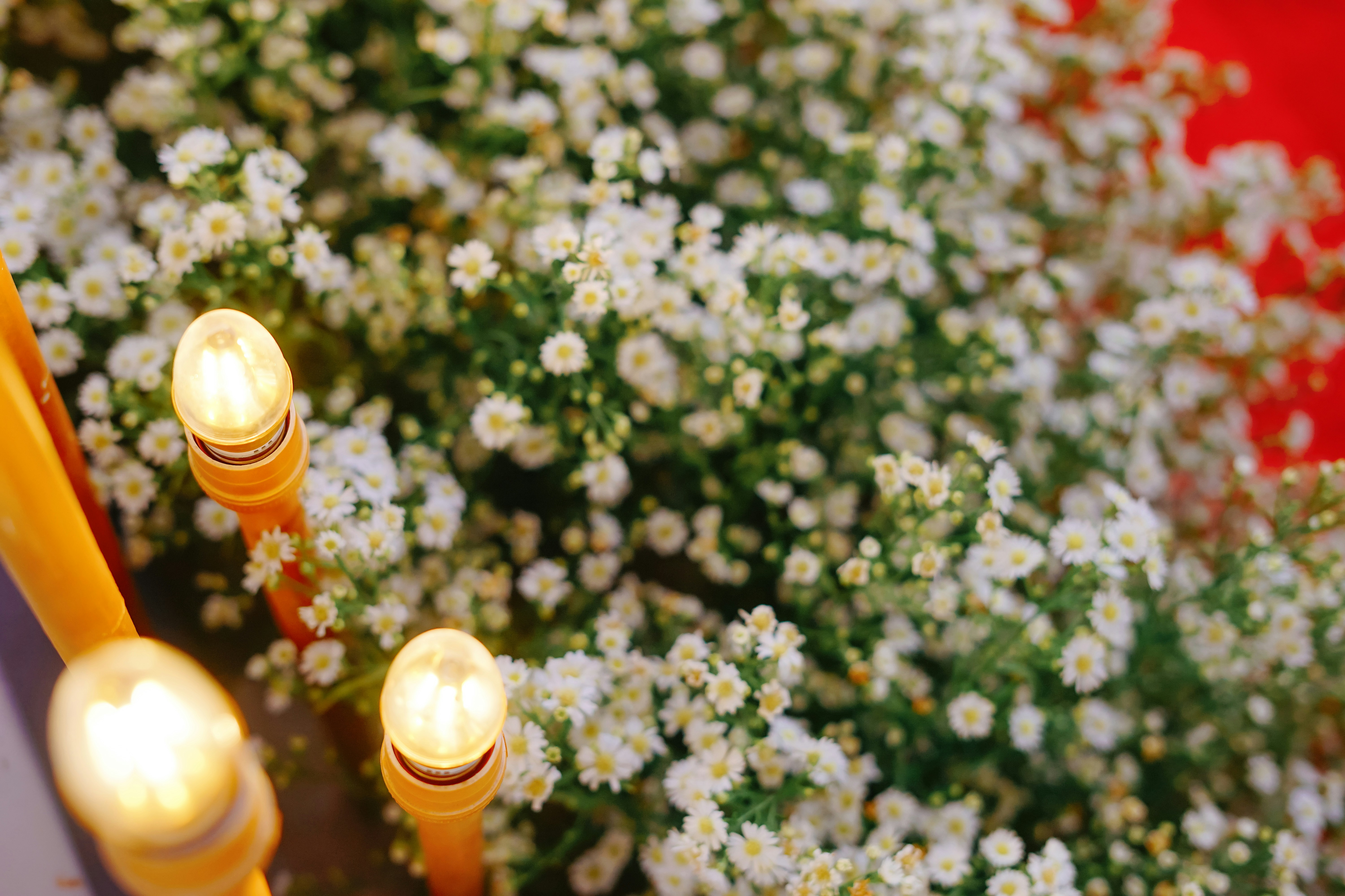 A close up of a bunch of flowers with candles