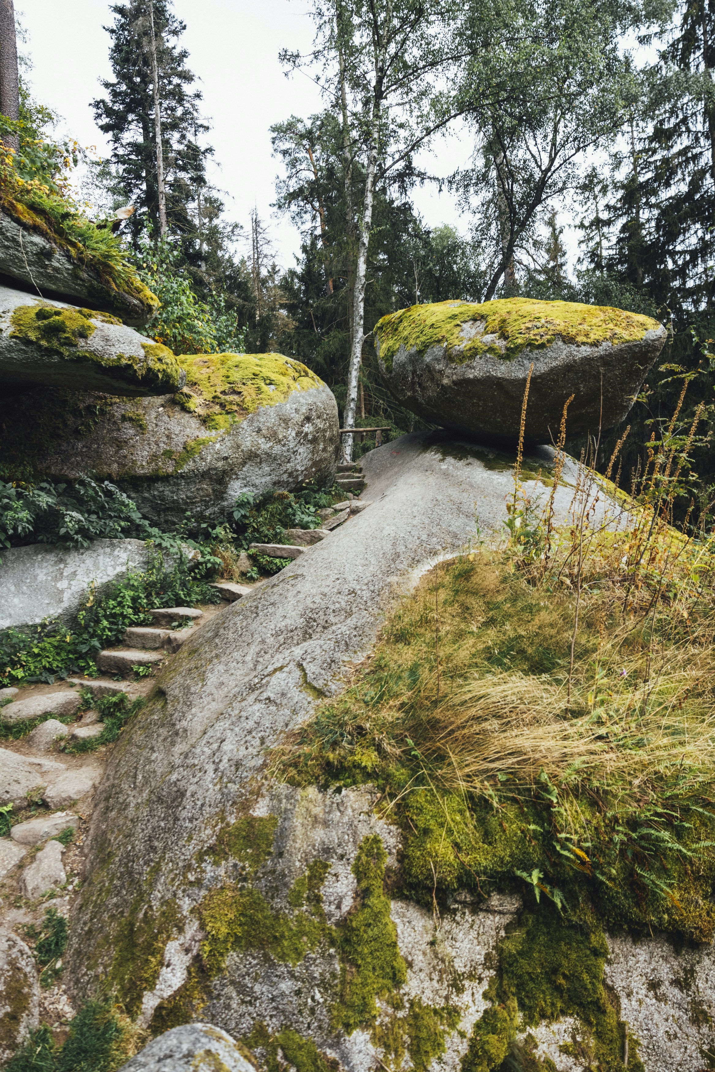 Ein felsiger Weg, auf dessen Felsen Moos wächst