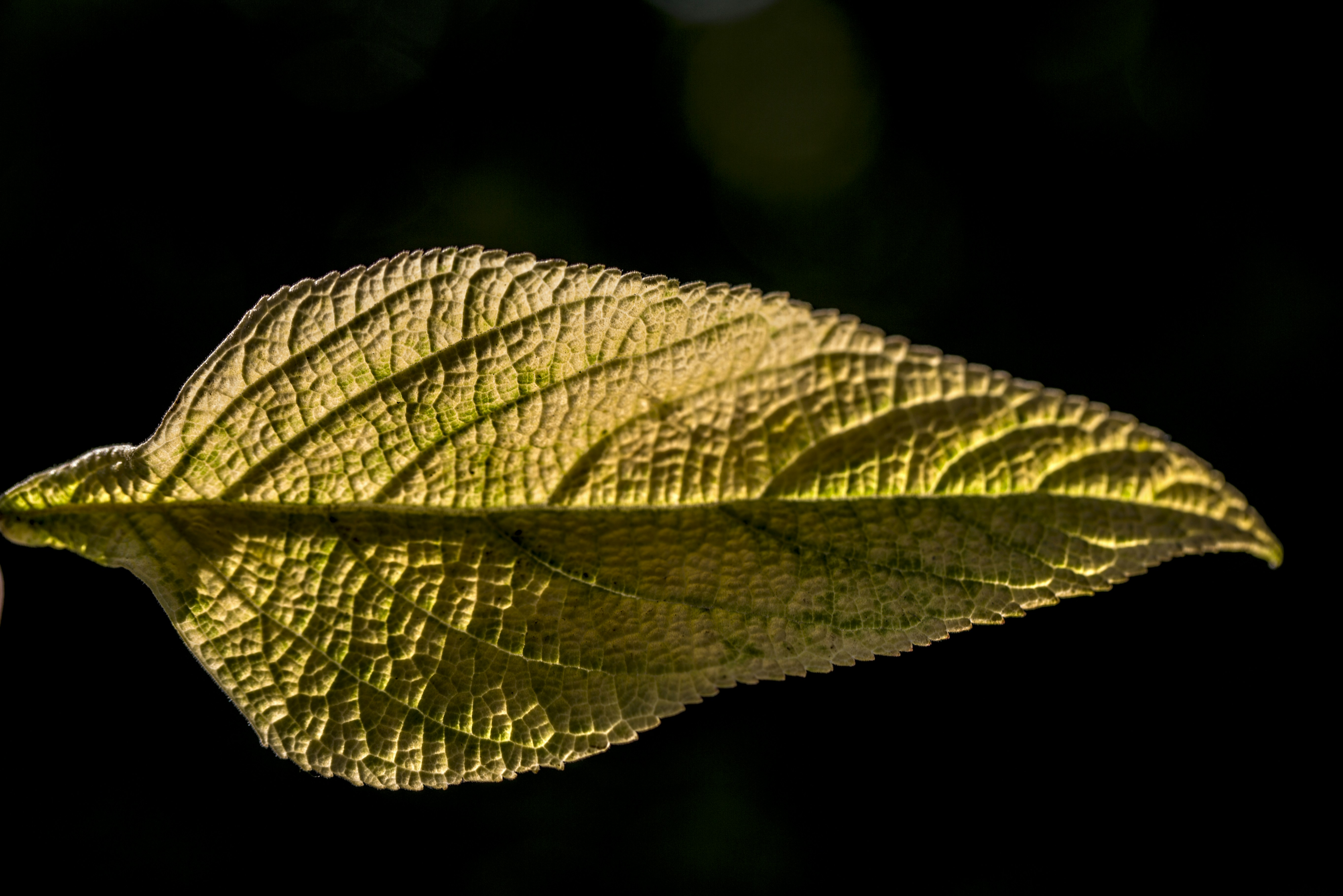 Photo by haberyazilimi