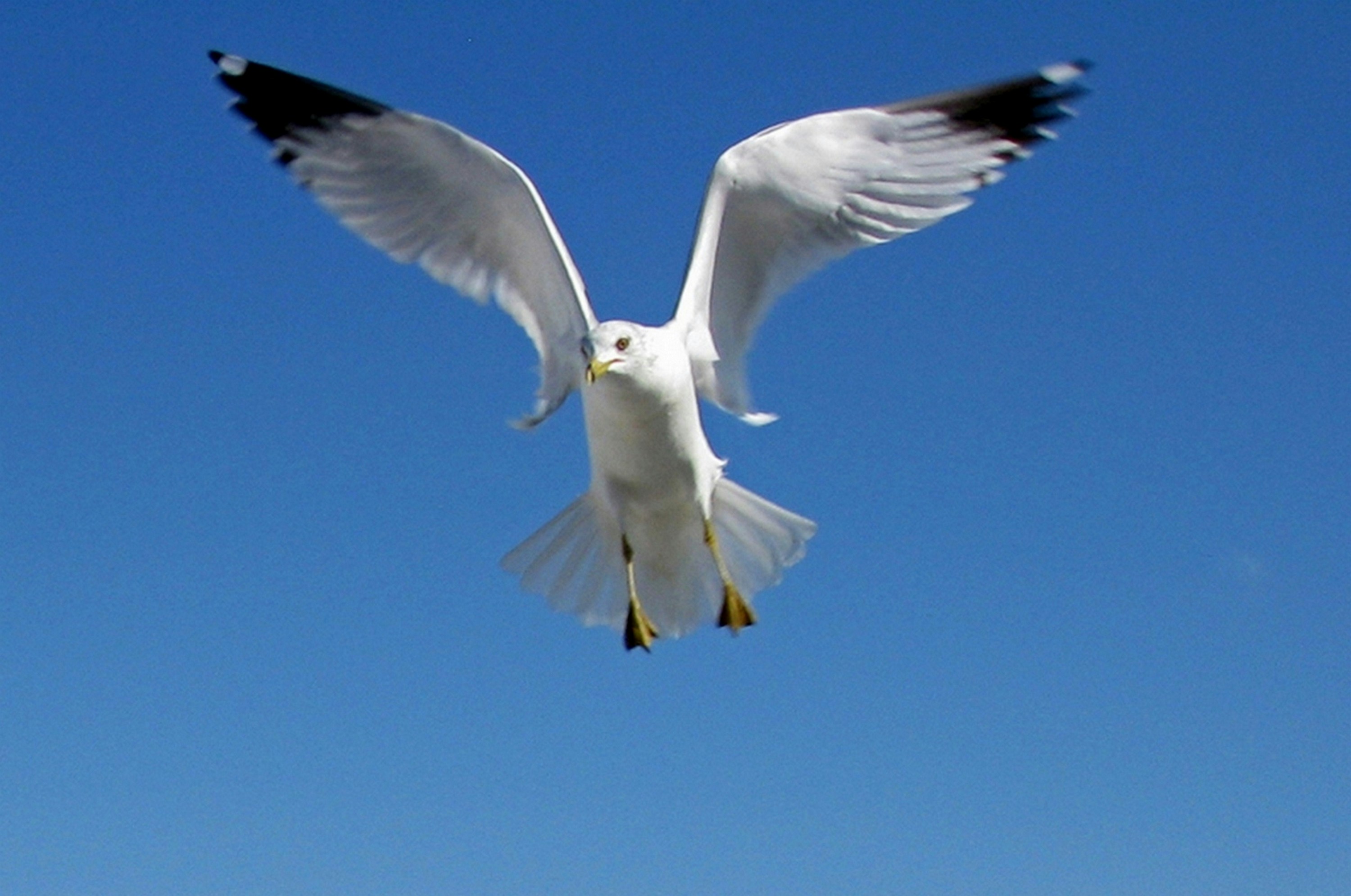 Photo by craazyquilt