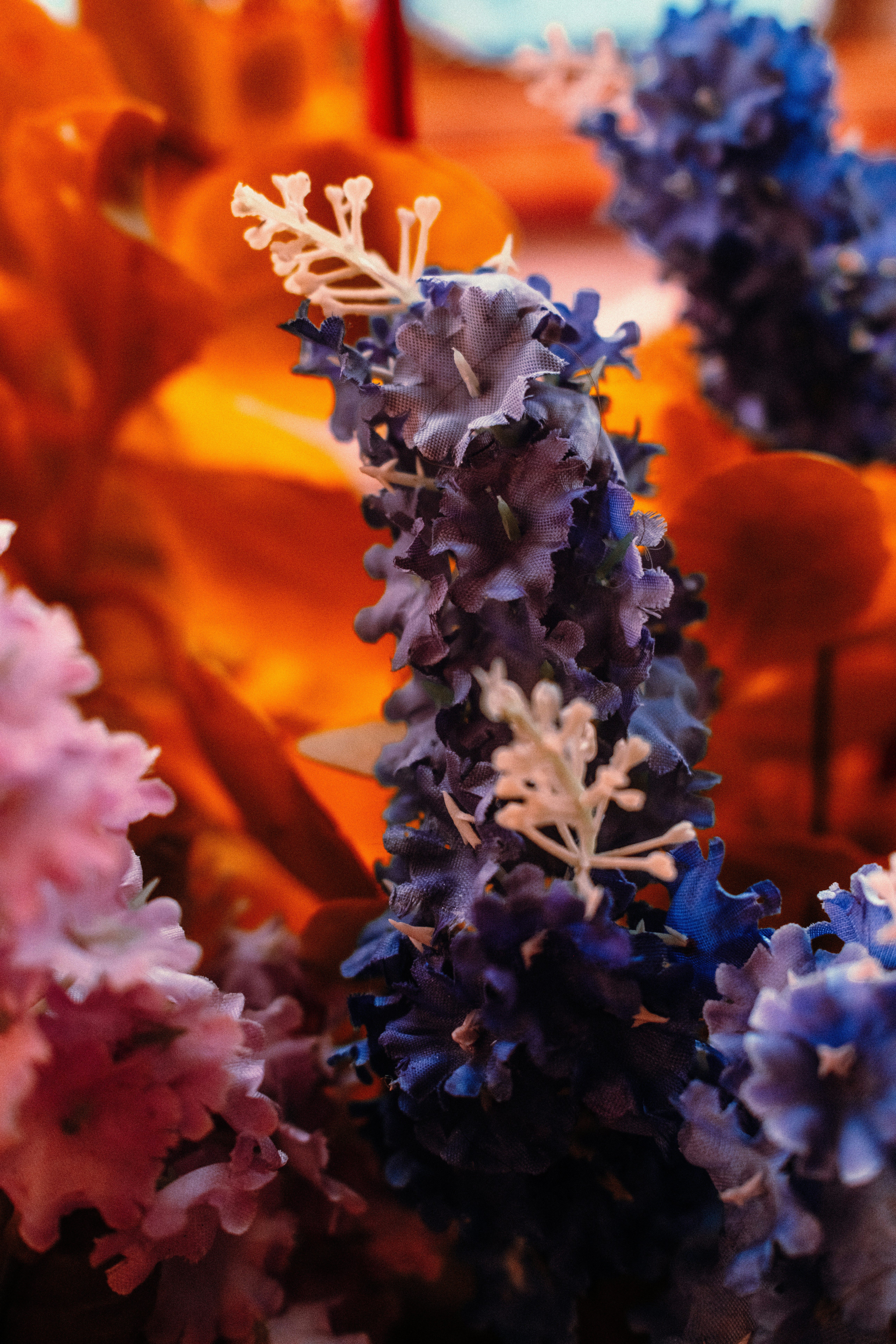 A close up of a bunch of flowers