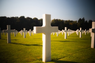 A field full of white crosses with trees in the background