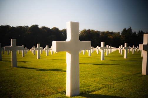 A field full of white crosses with trees in the background