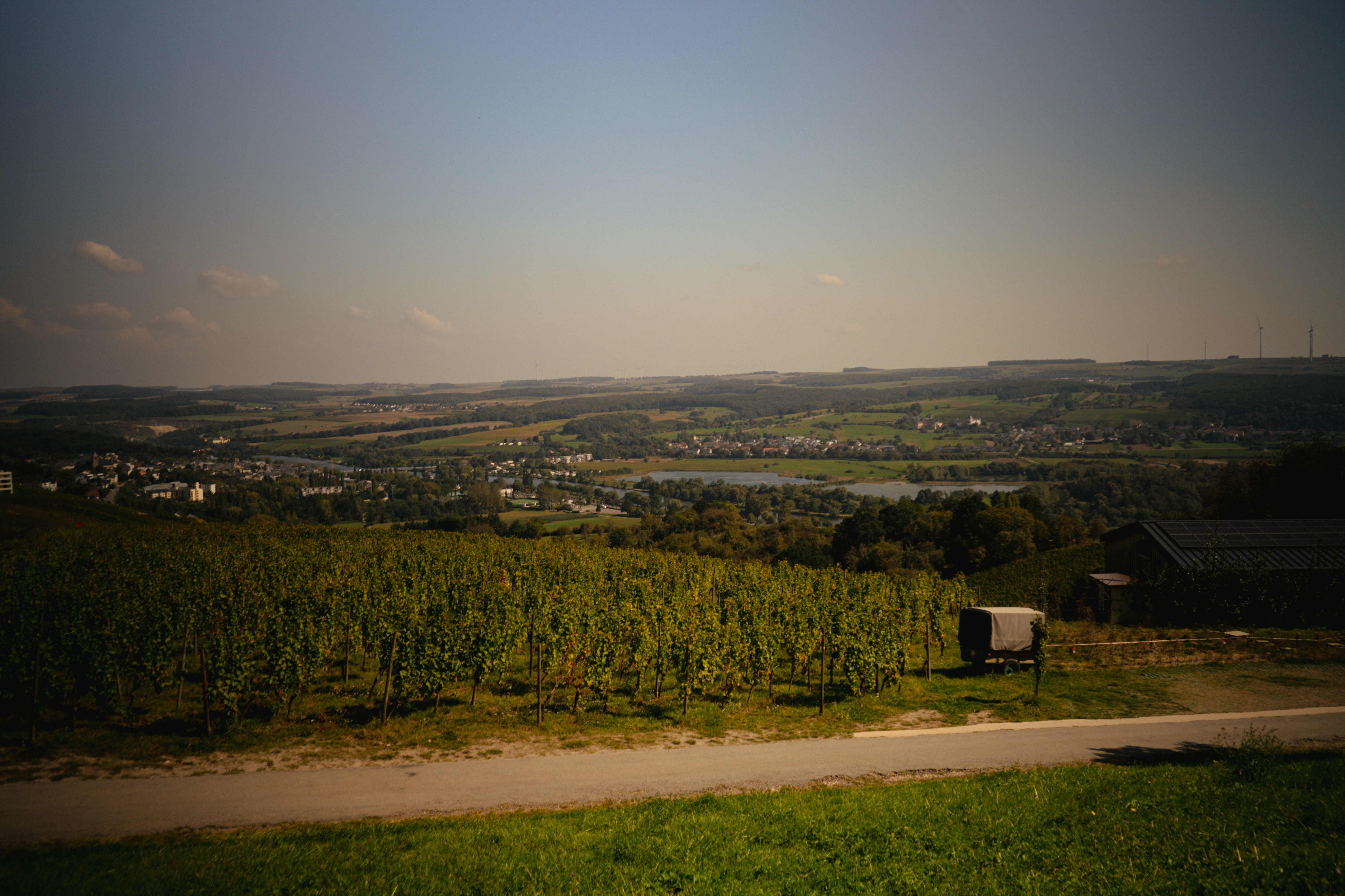 Photo by rubenmarques1