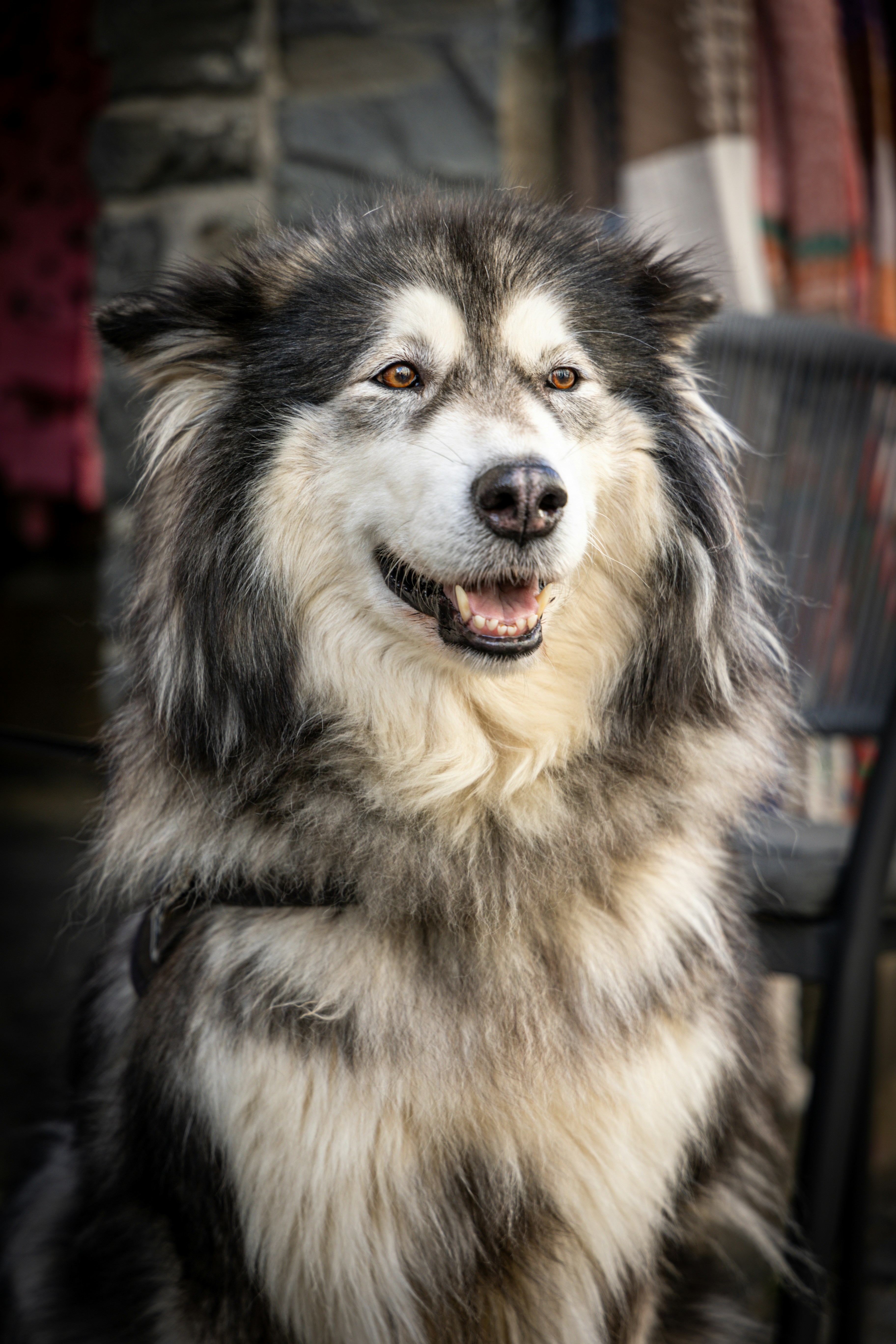 Photo by gnomezgrave