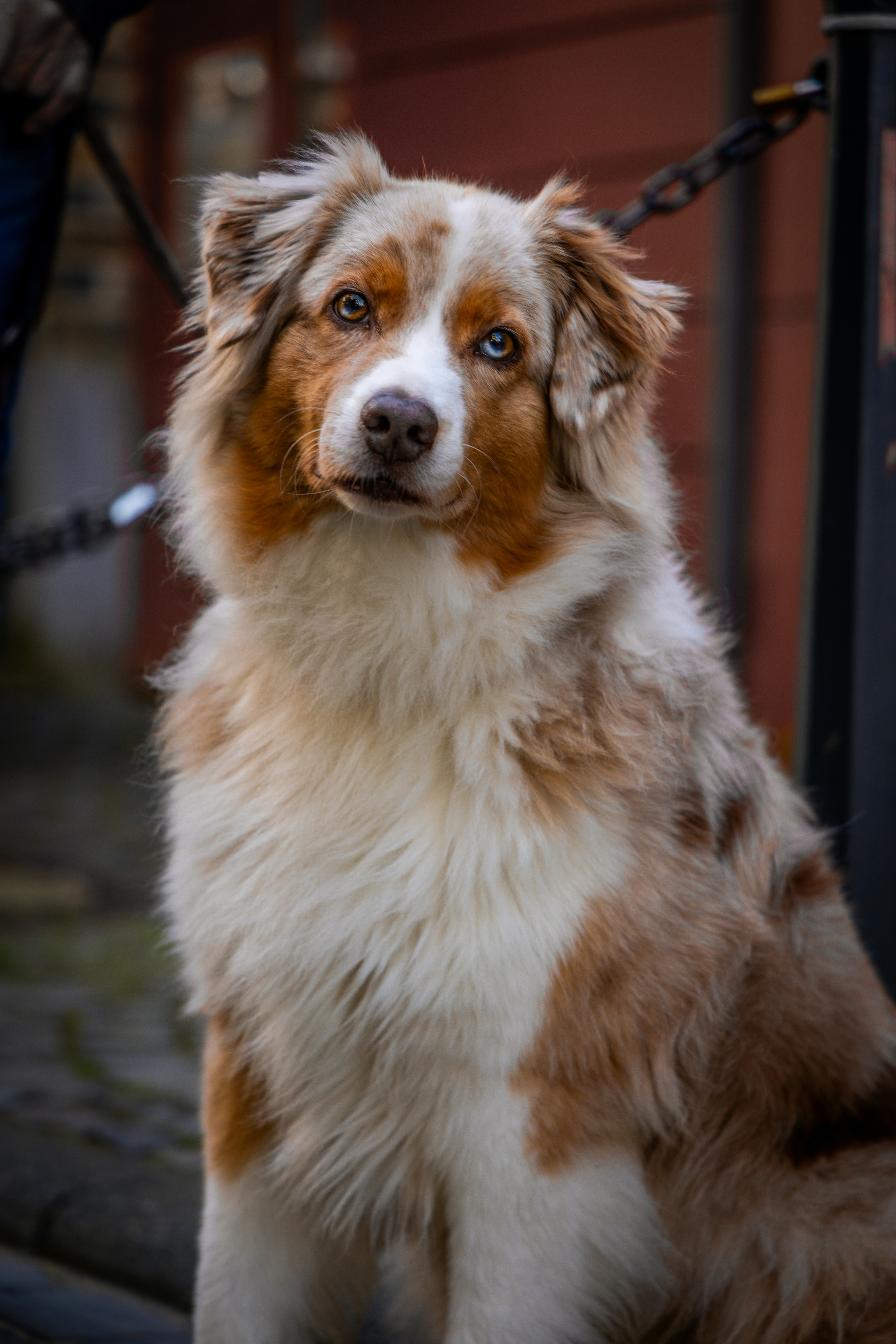 Photo by gnomezgrave