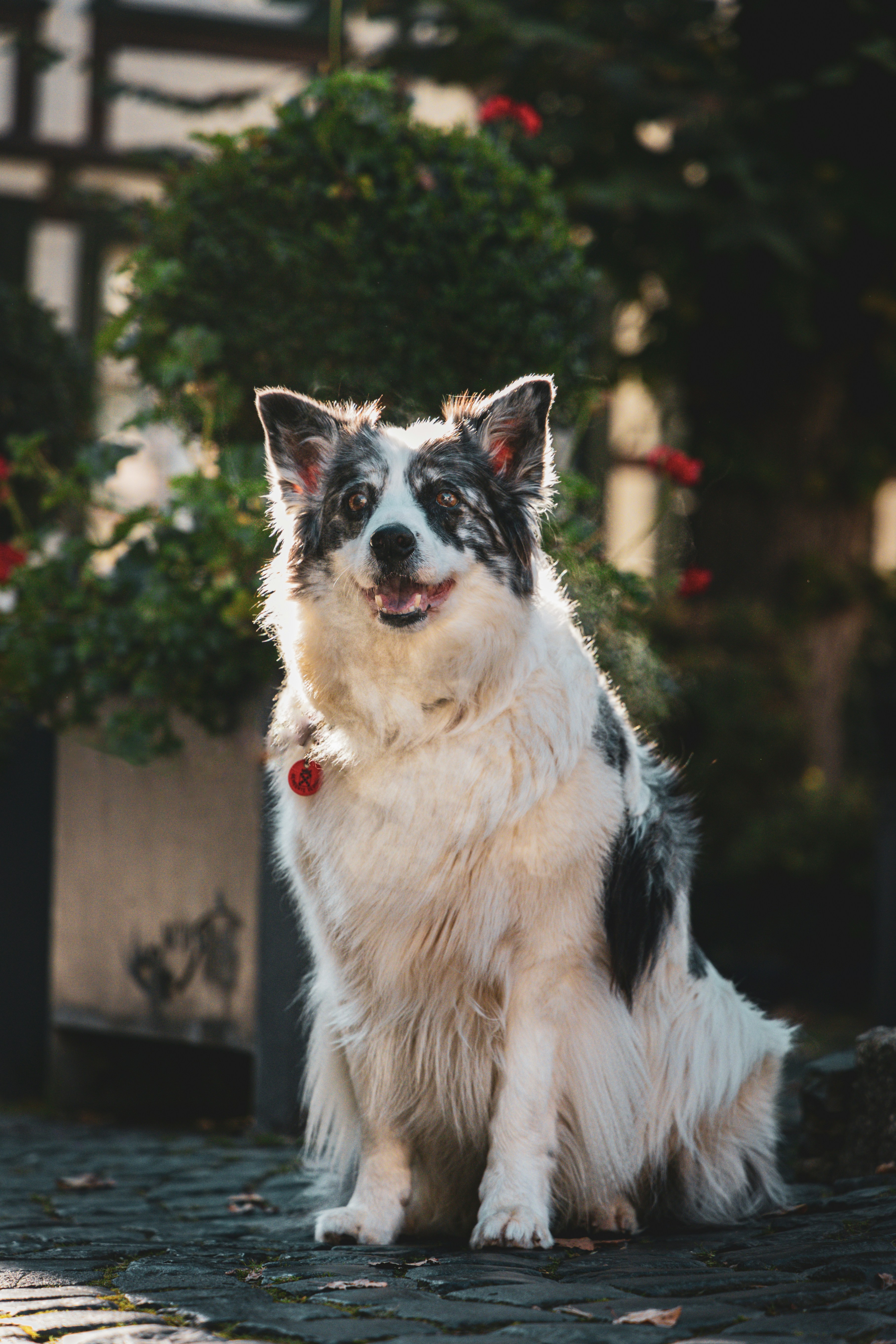 Photo by gnomezgrave