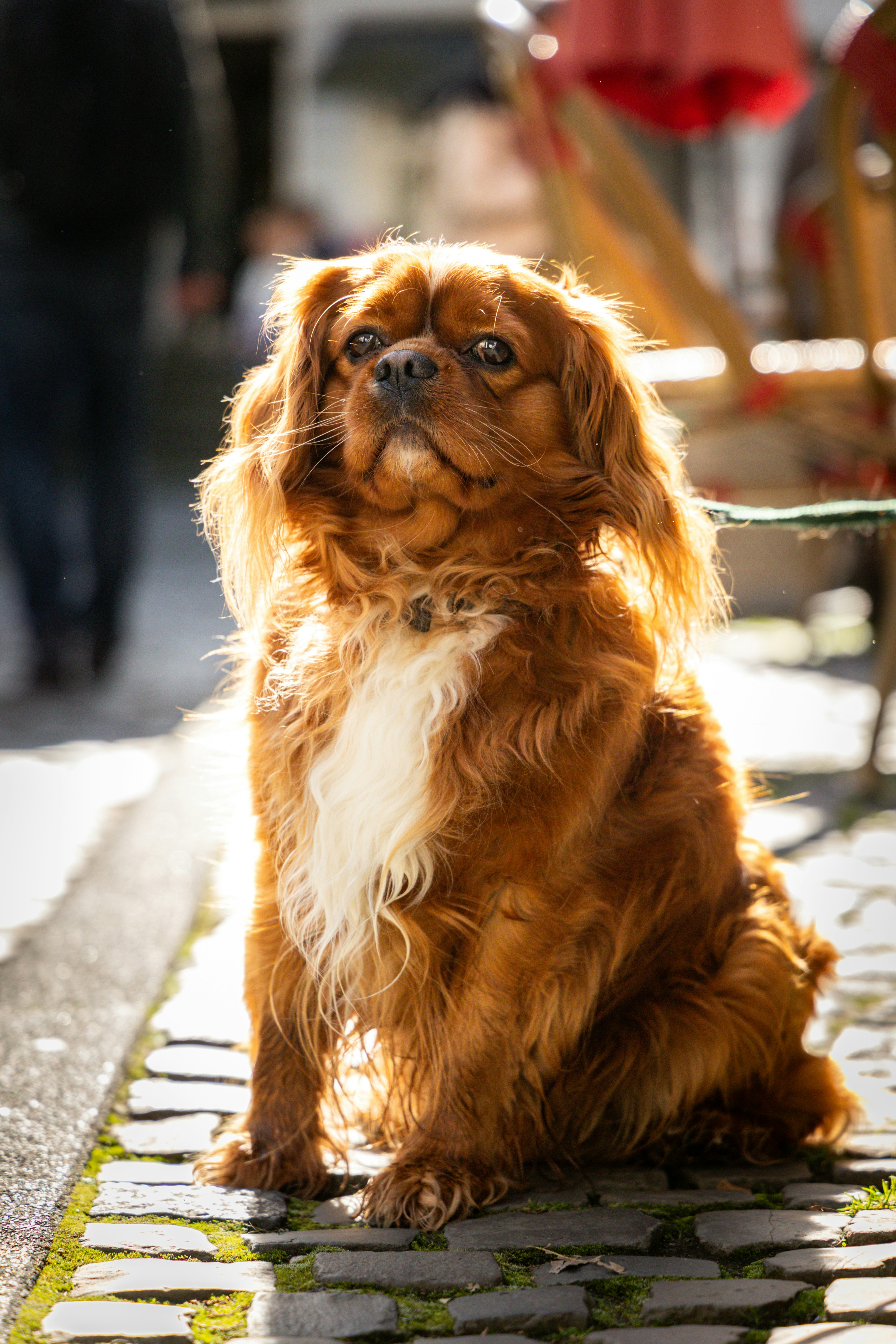 Photo by gnomezgrave