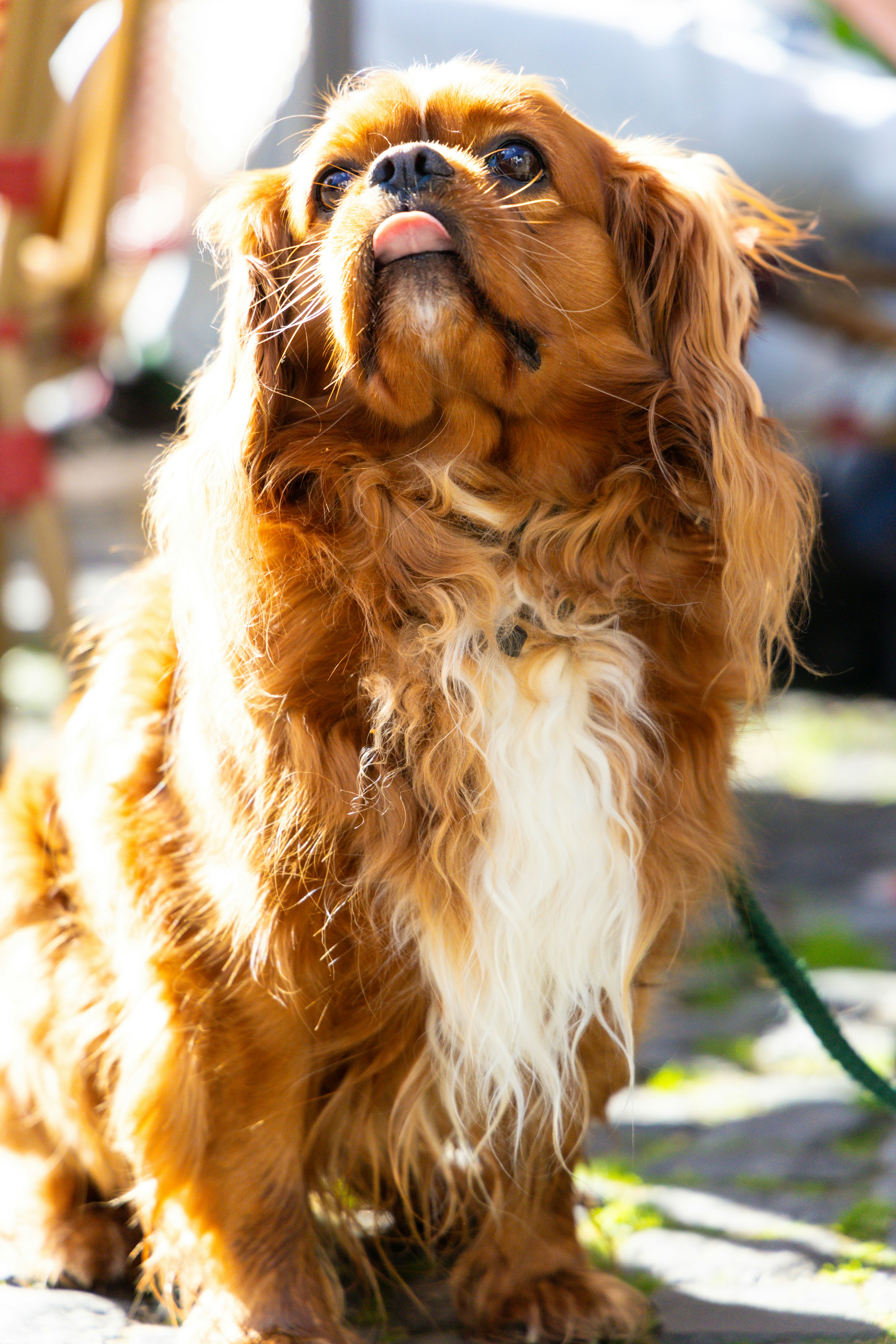 Photo by gnomezgrave