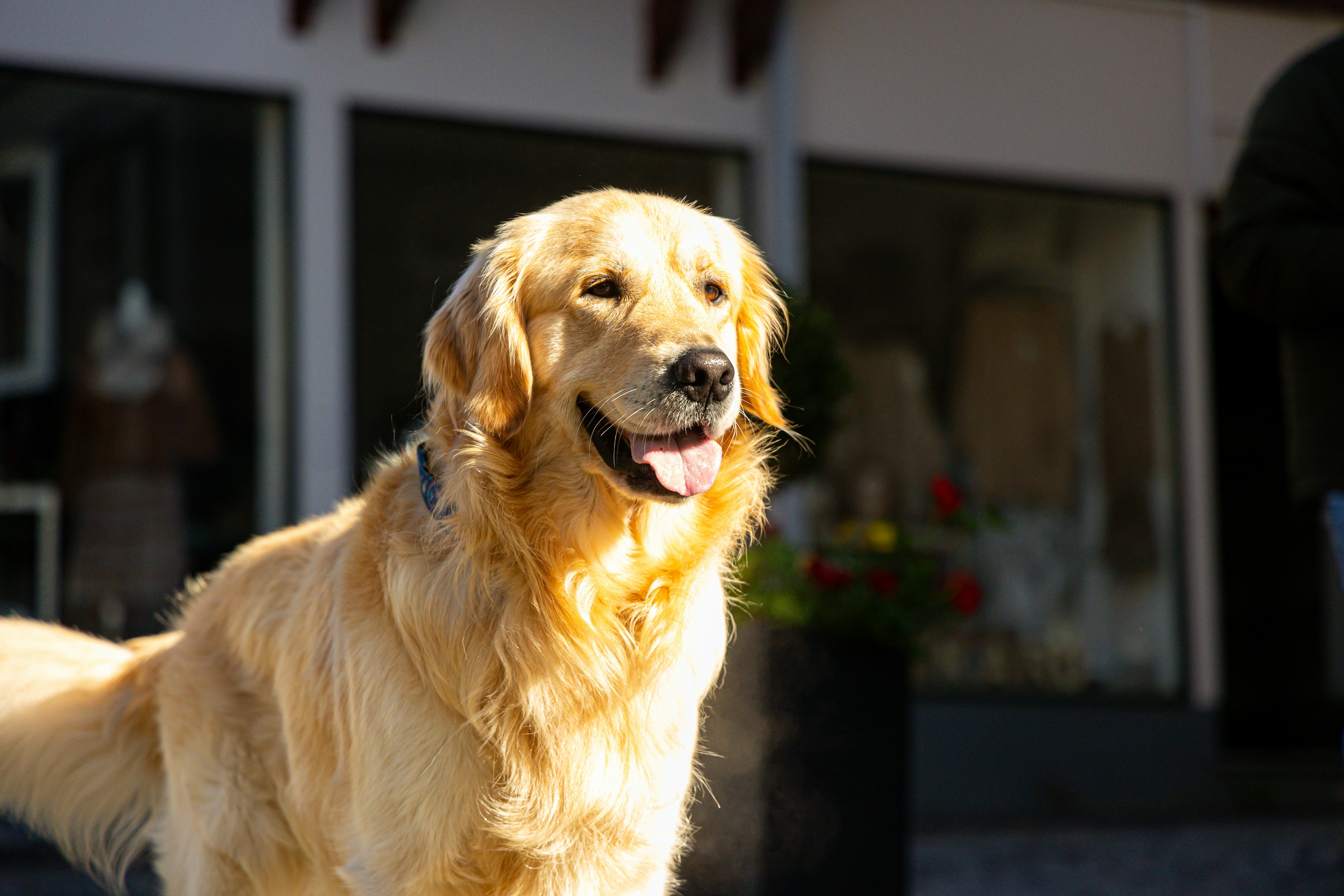 Photo by gnomezgrave