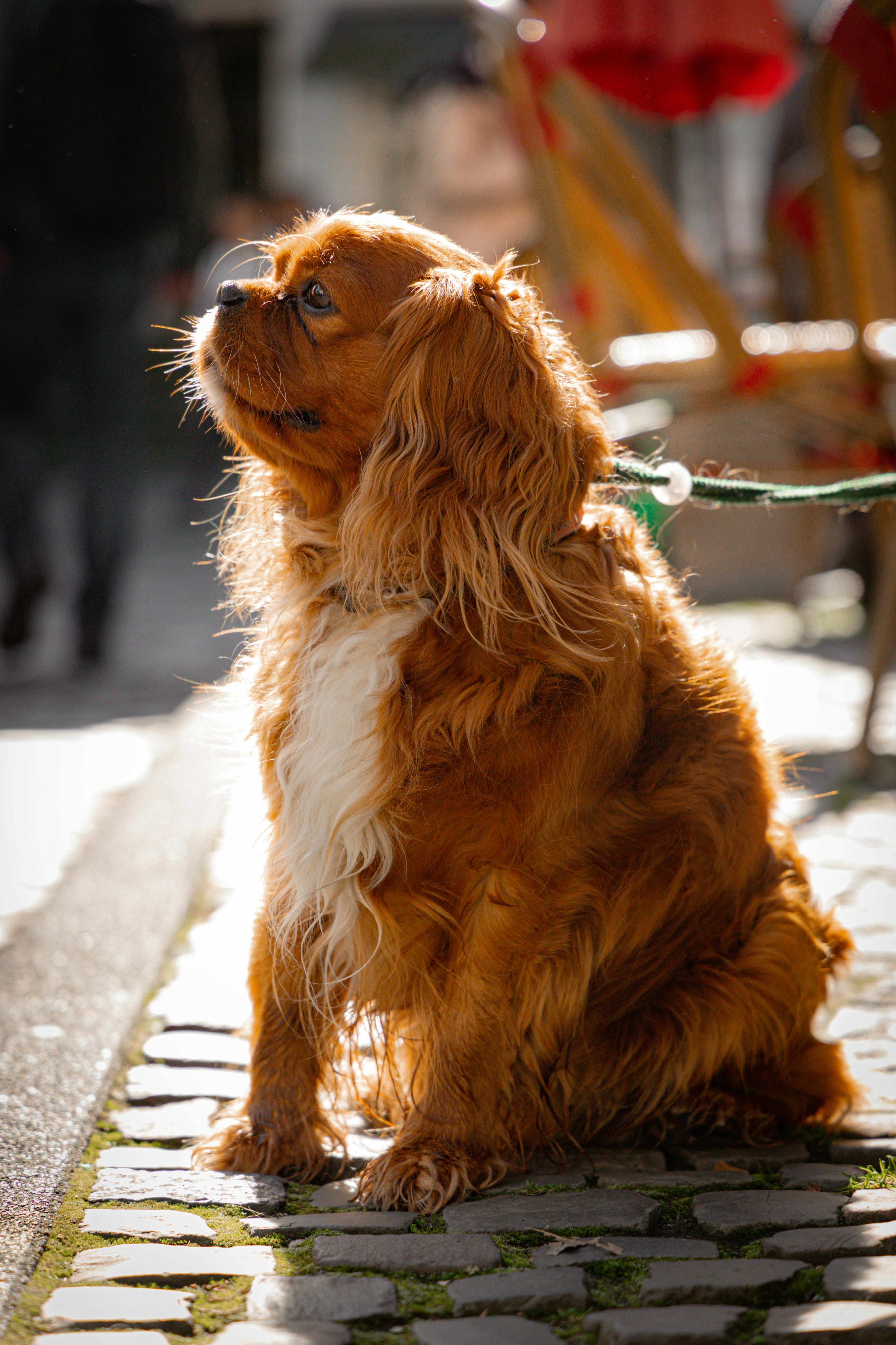 Photo by gnomezgrave