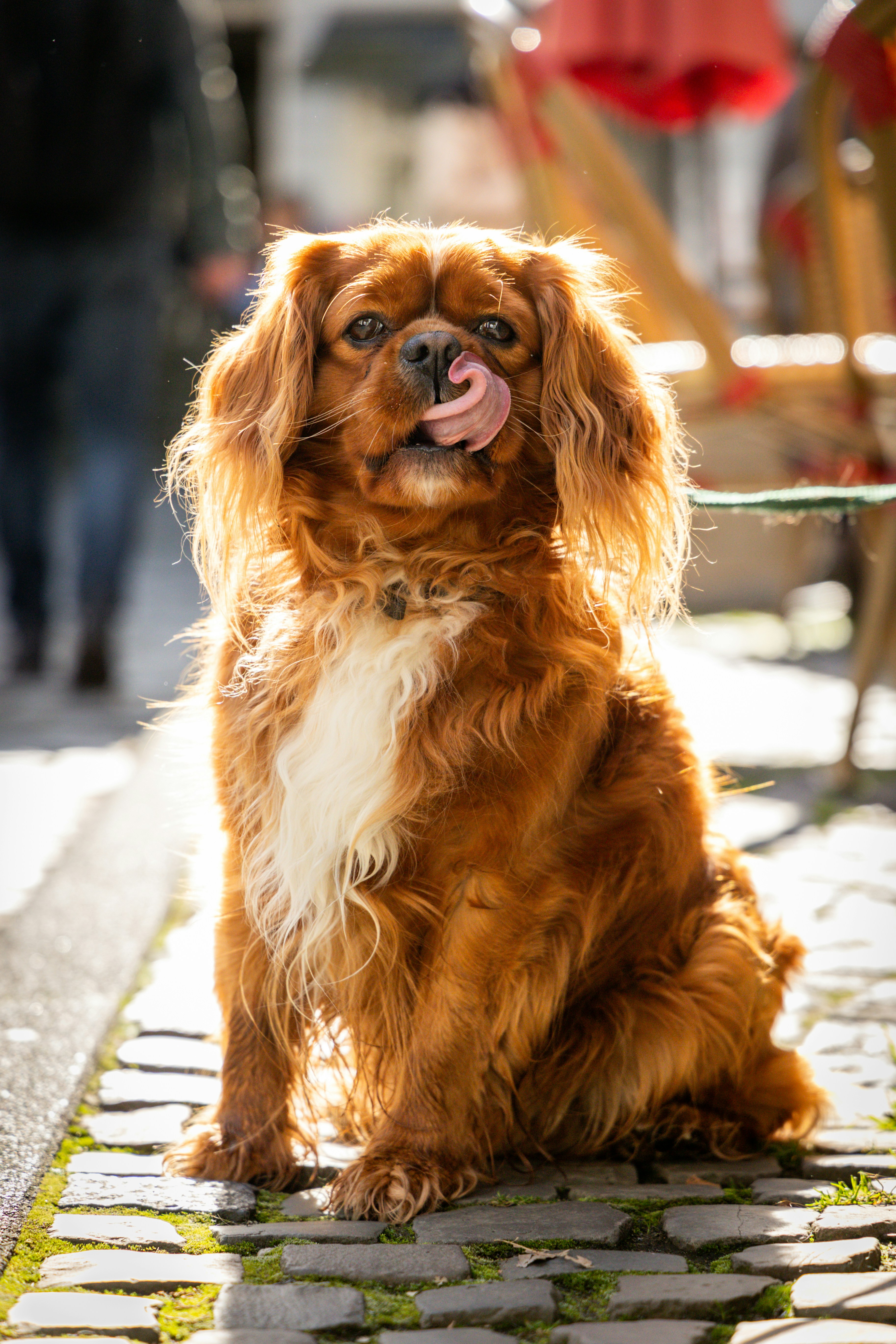 Photo by gnomezgrave