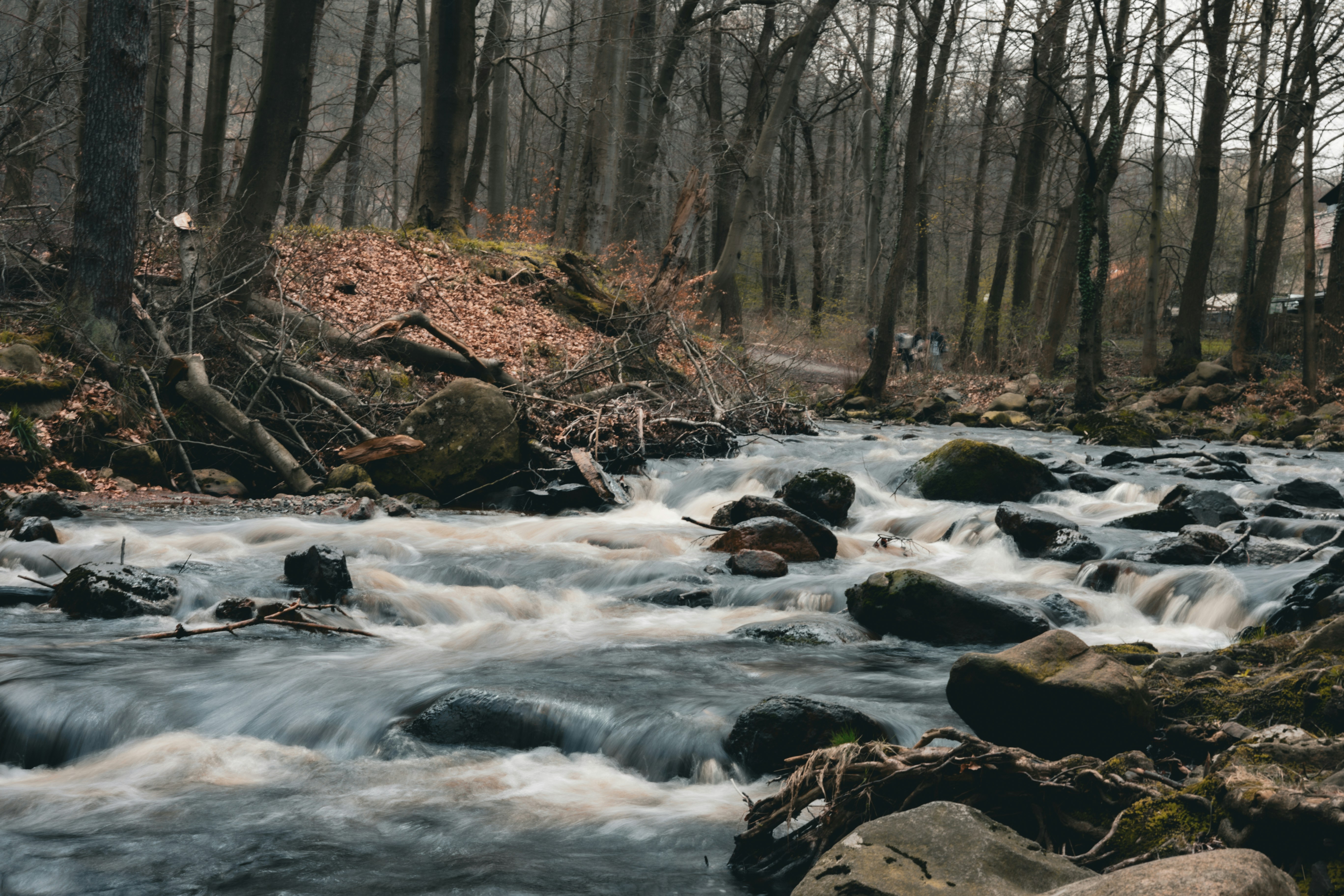 Photo by gnomezgrave