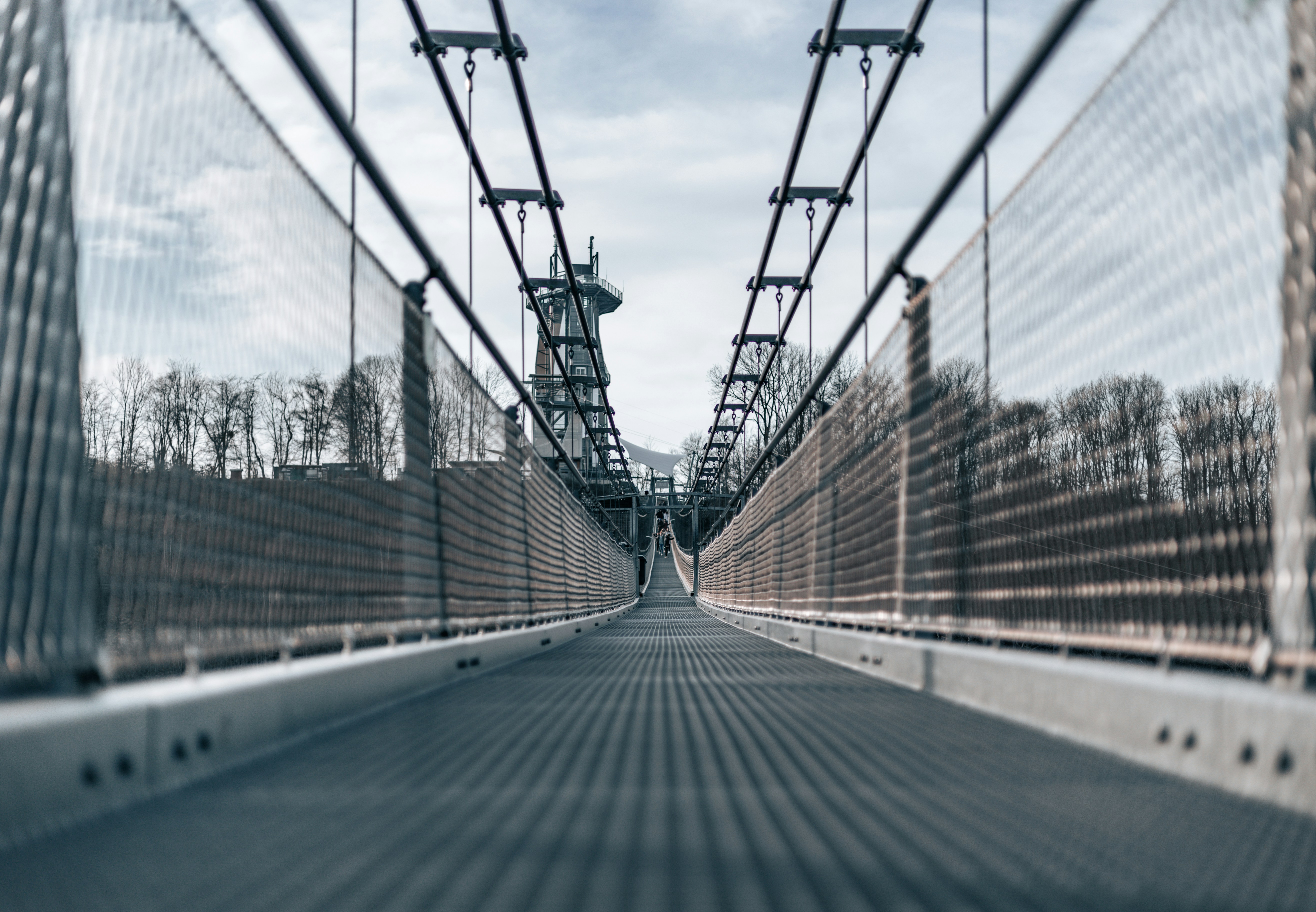 Photo by gnomezgrave