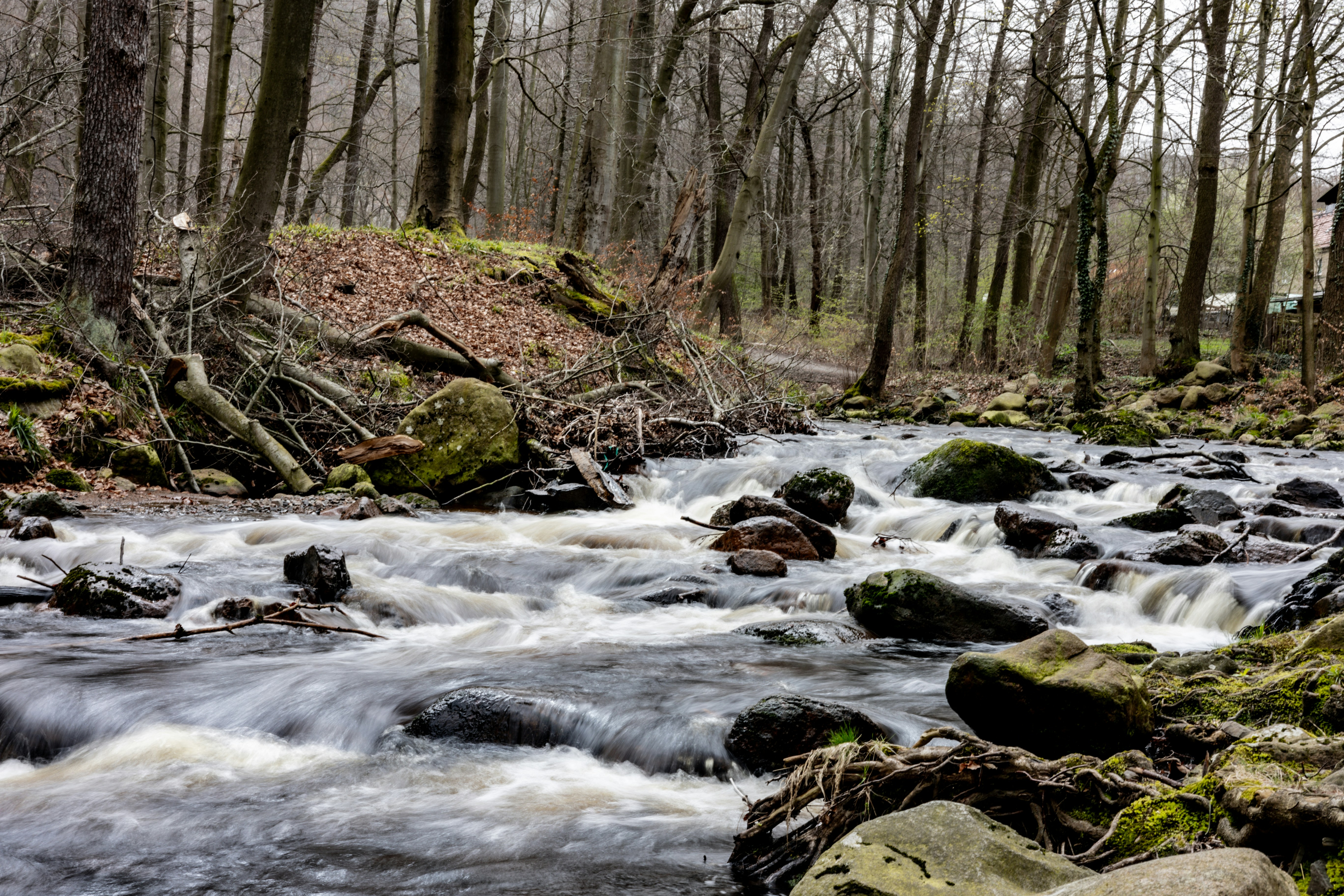 Photo by gnomezgrave