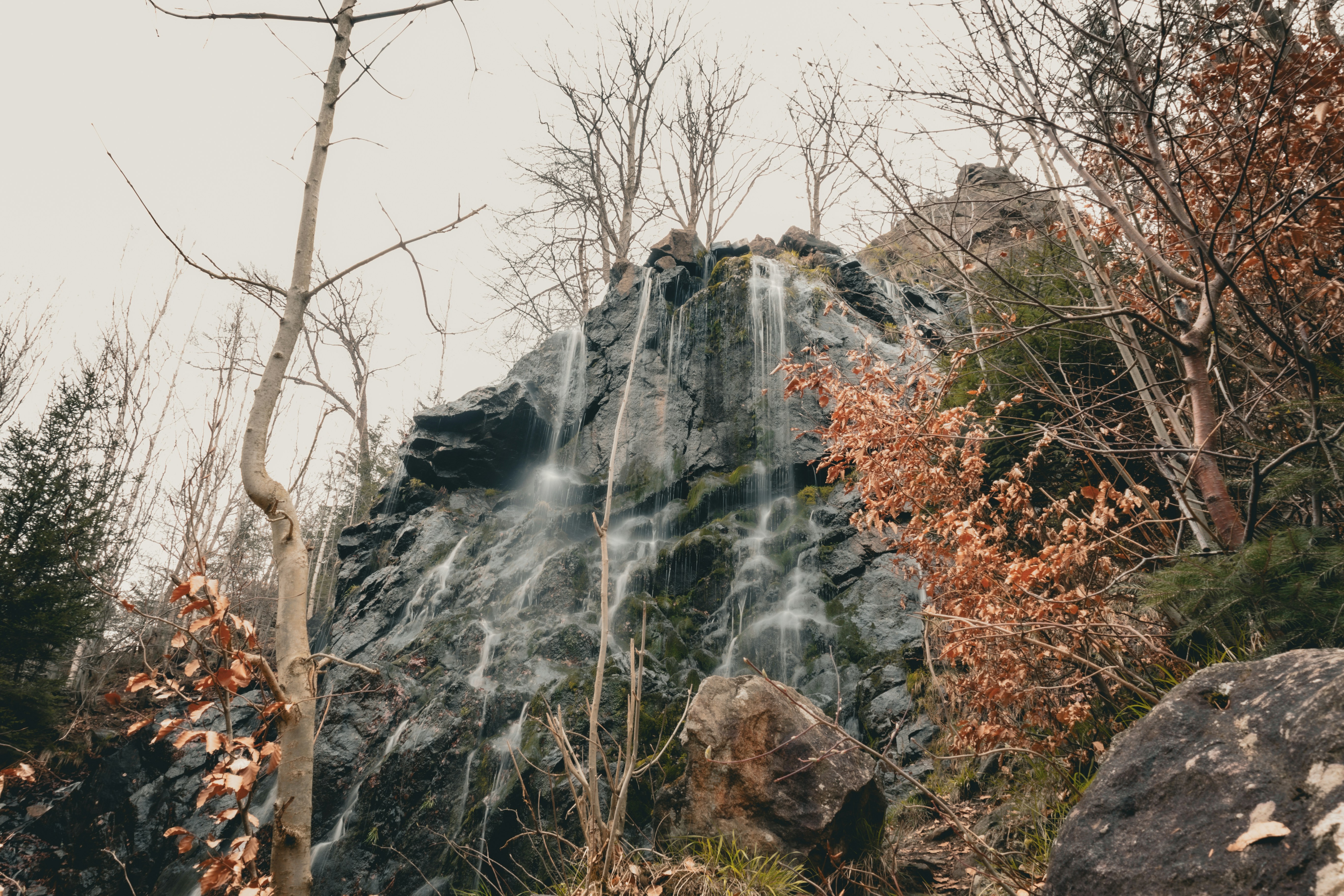 Photo by gnomezgrave