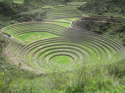 Moray