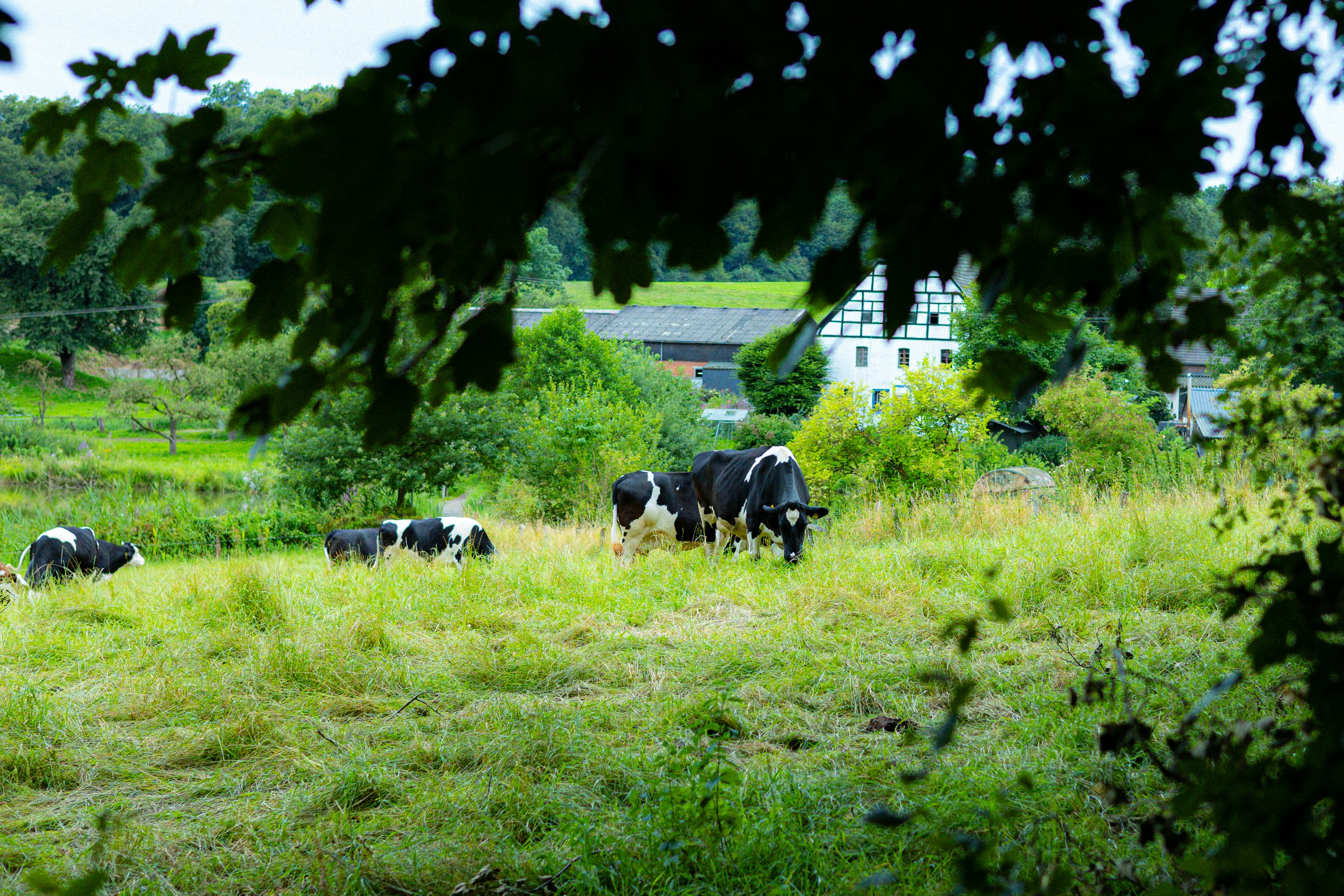 Photo by gnomezgrave