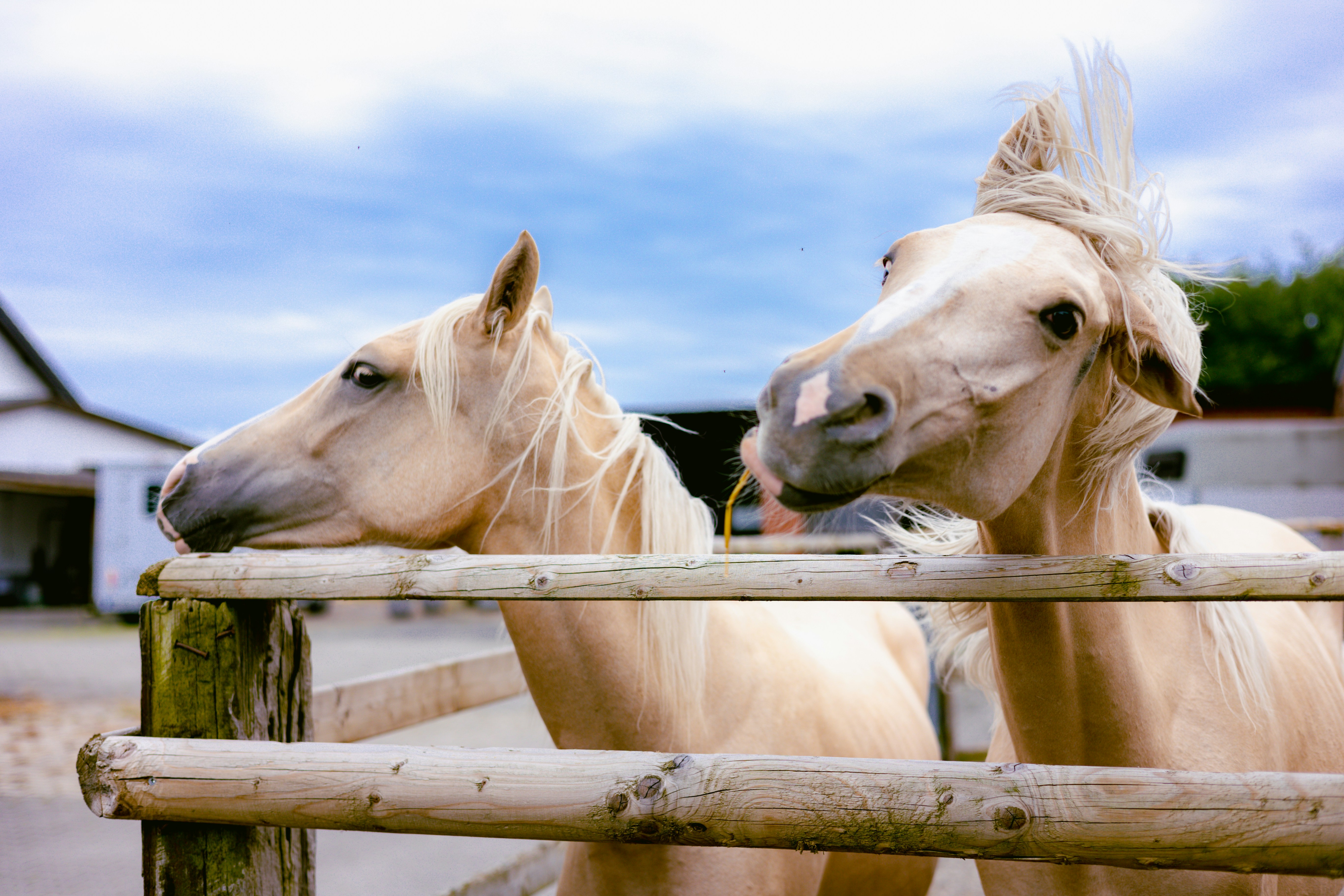 Photo by gnomezgrave