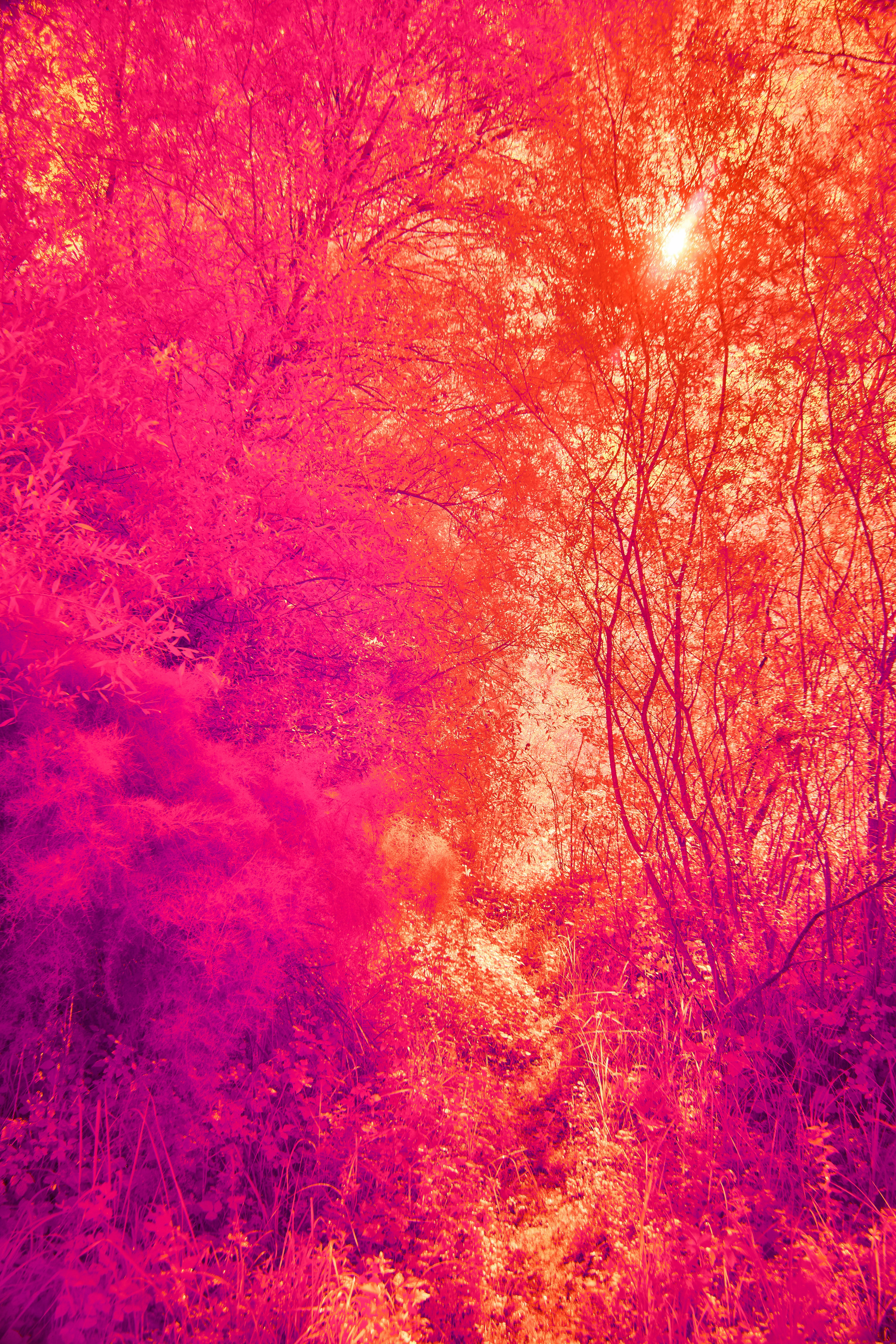 Photo by wolfgang_hasselmann