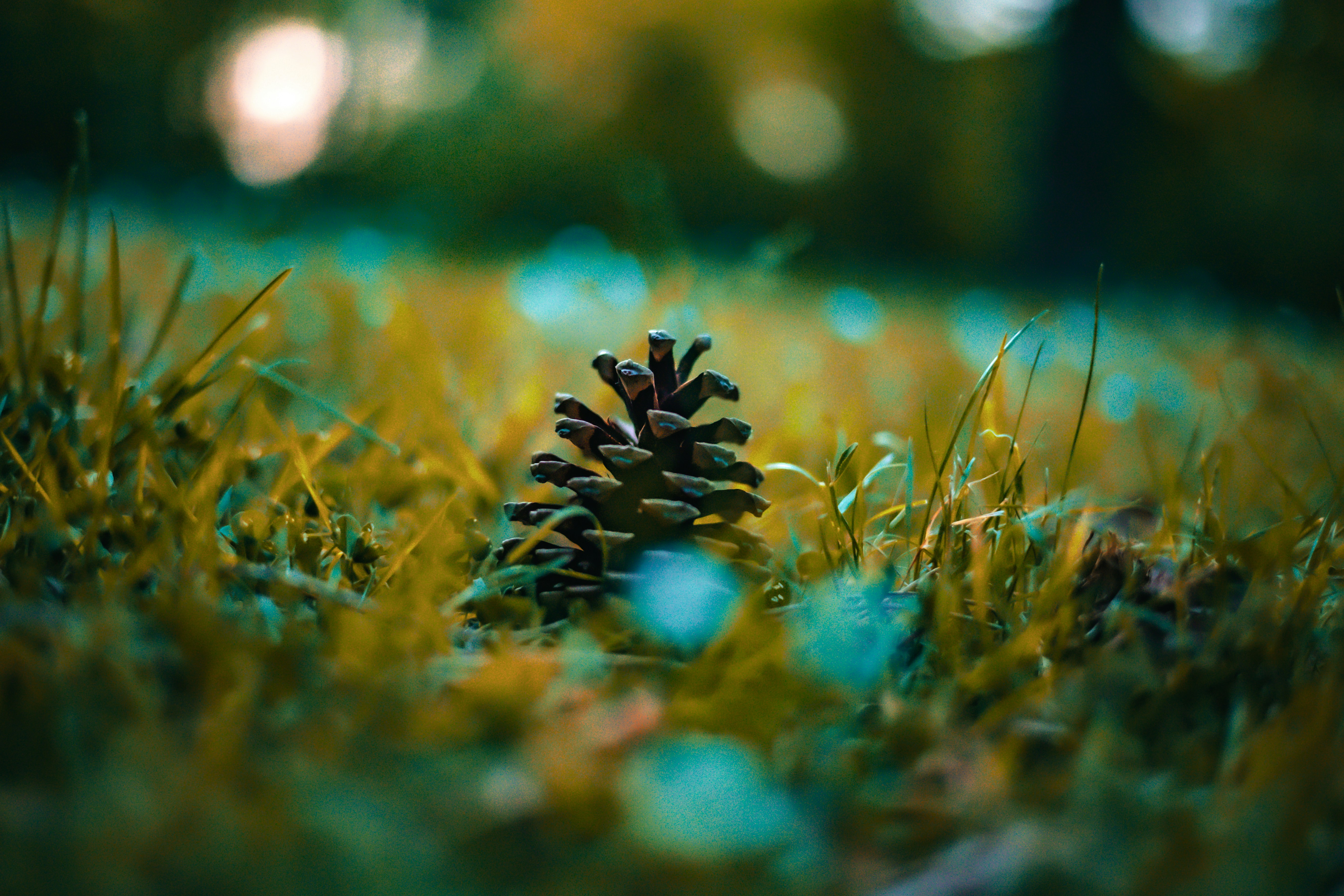 Photo by gnomezgrave