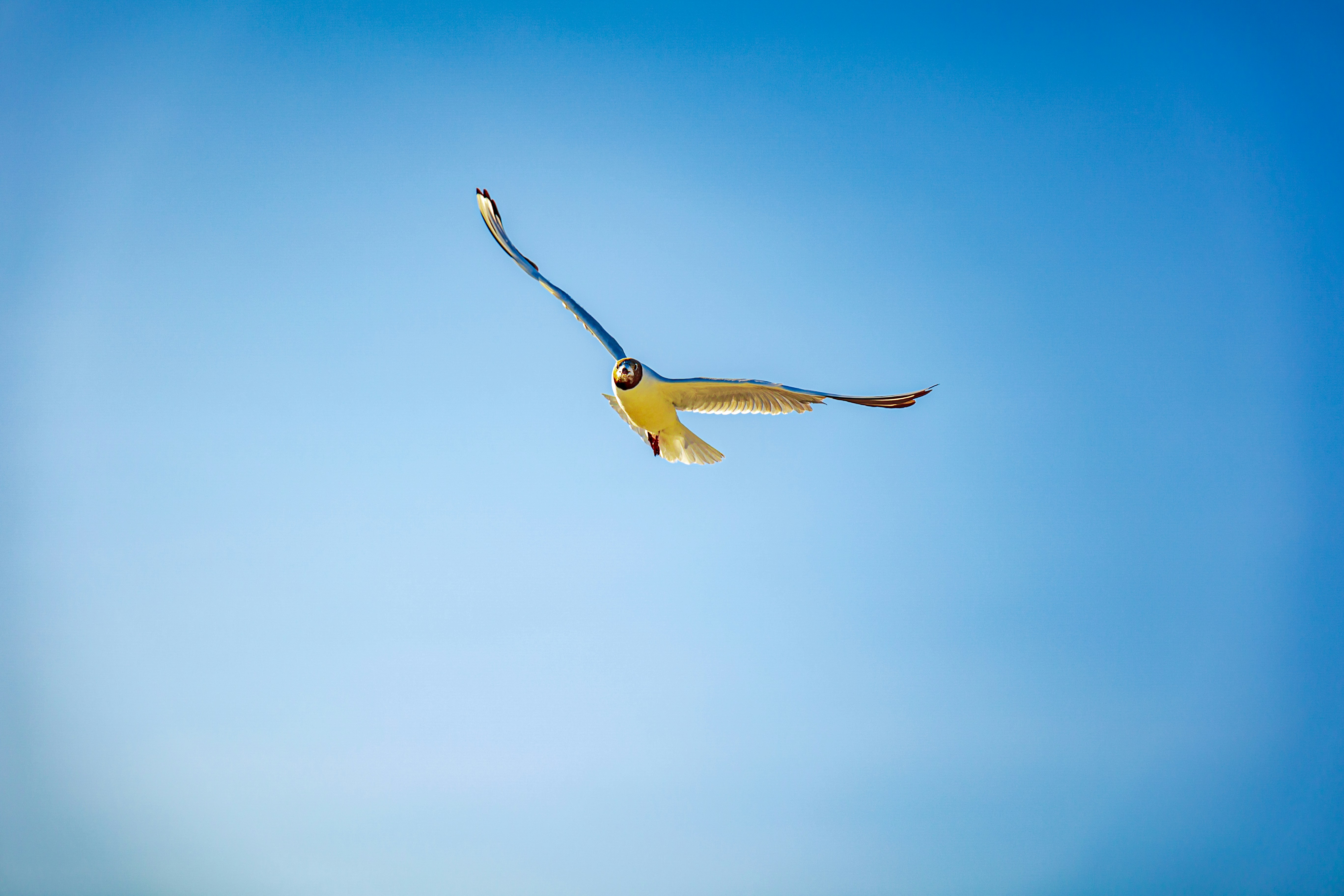 Photo by gnomezgrave