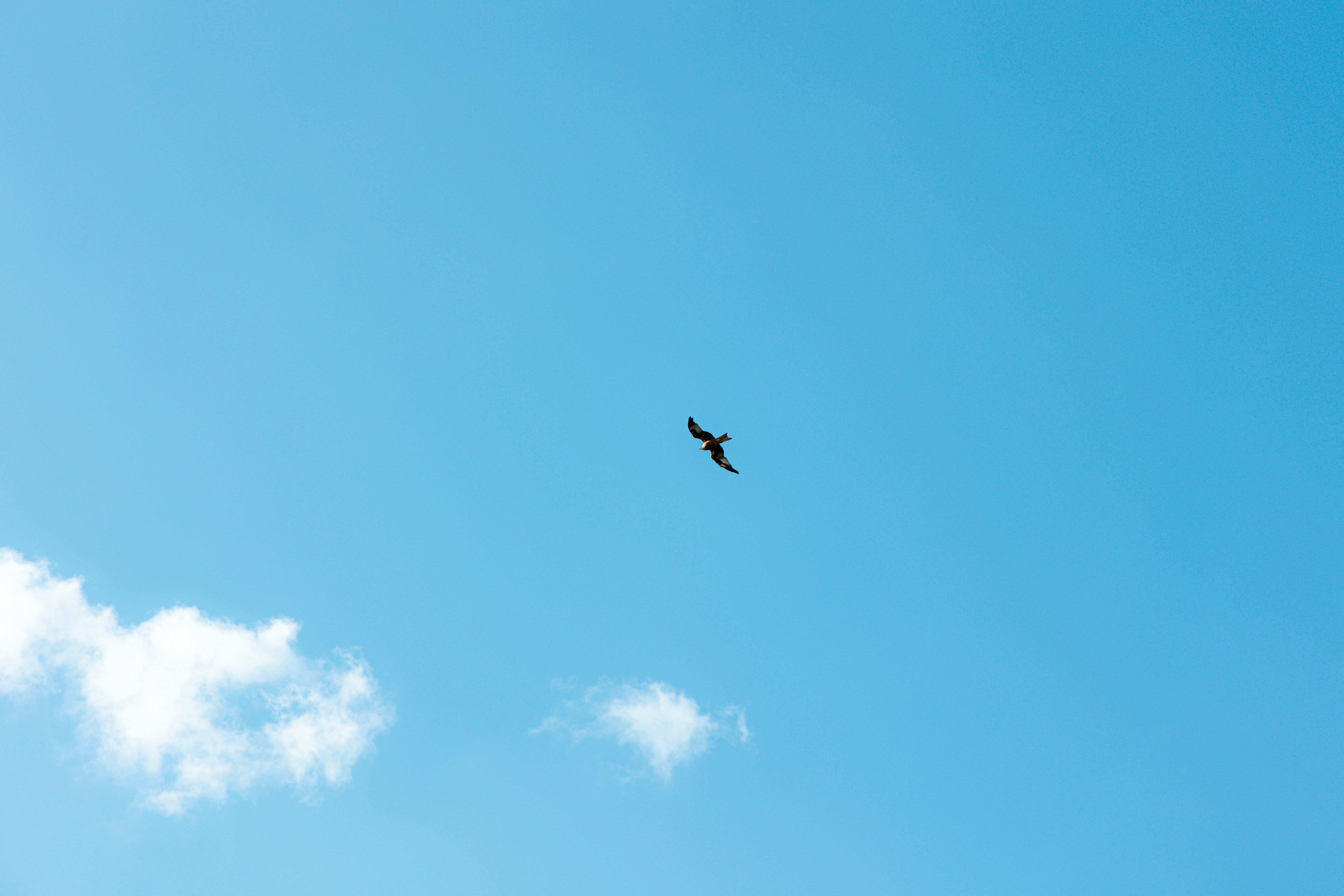 Photo by gnomezgrave