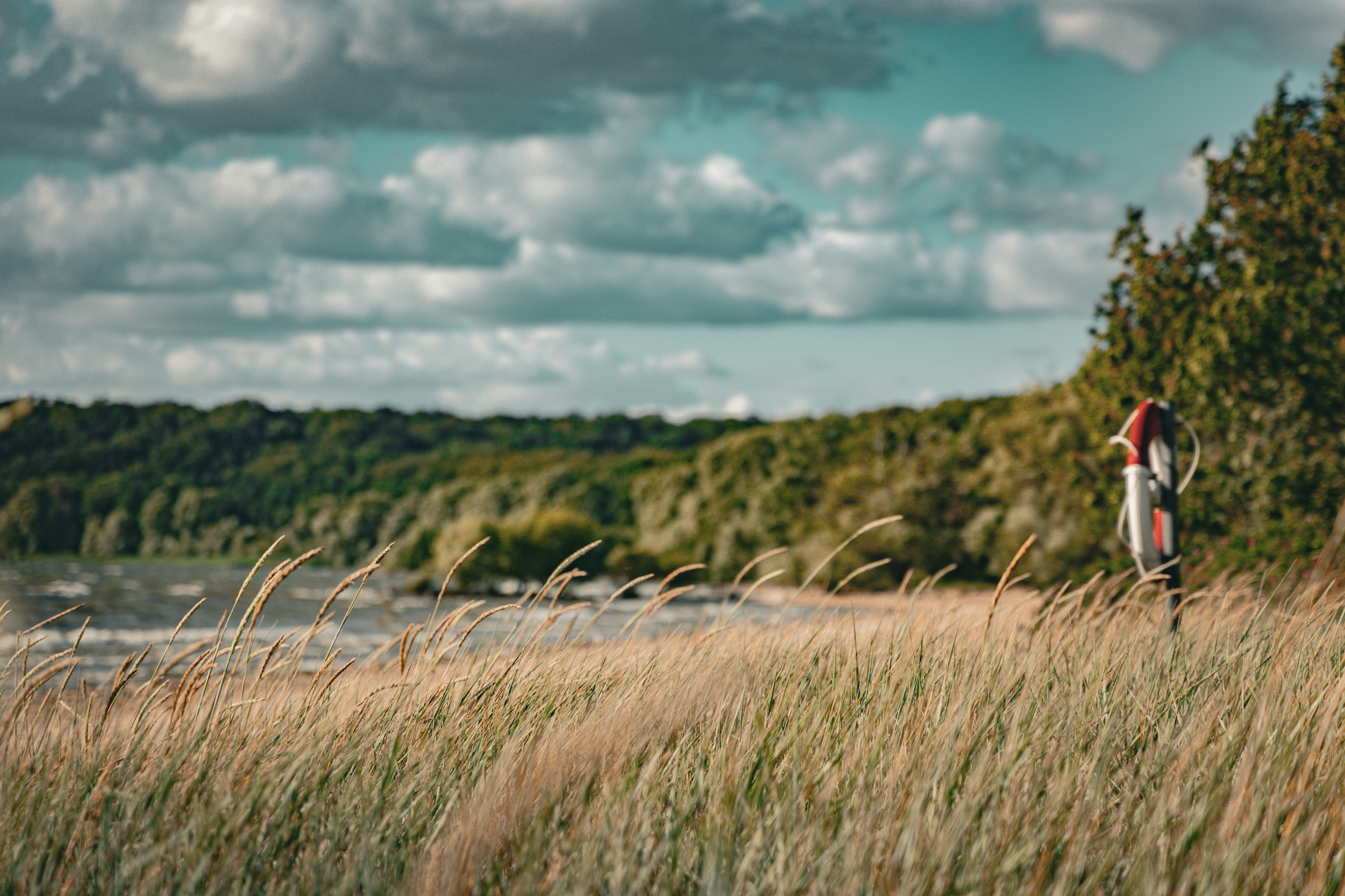 Photo by gnomezgrave