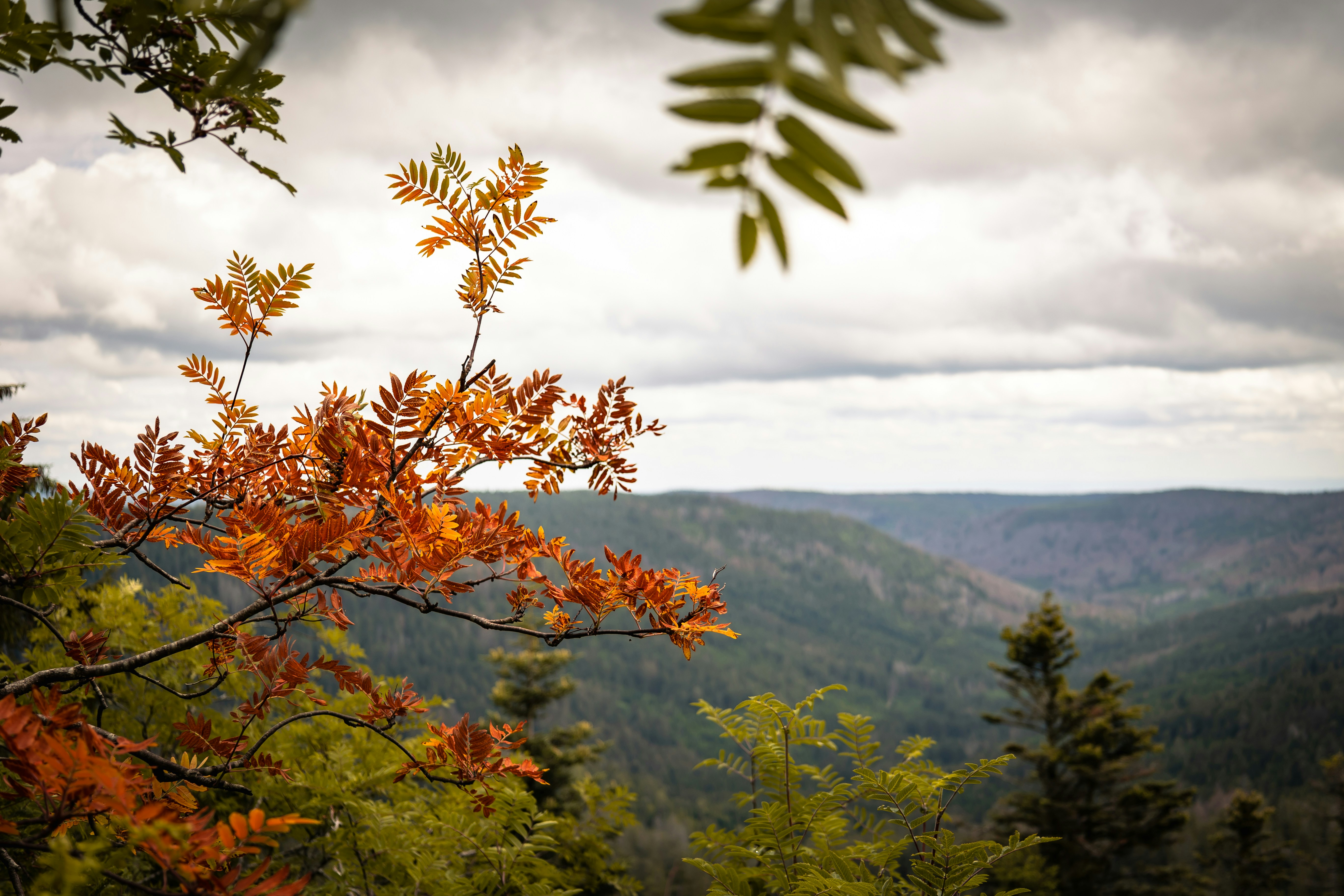 Photo by gnomezgrave