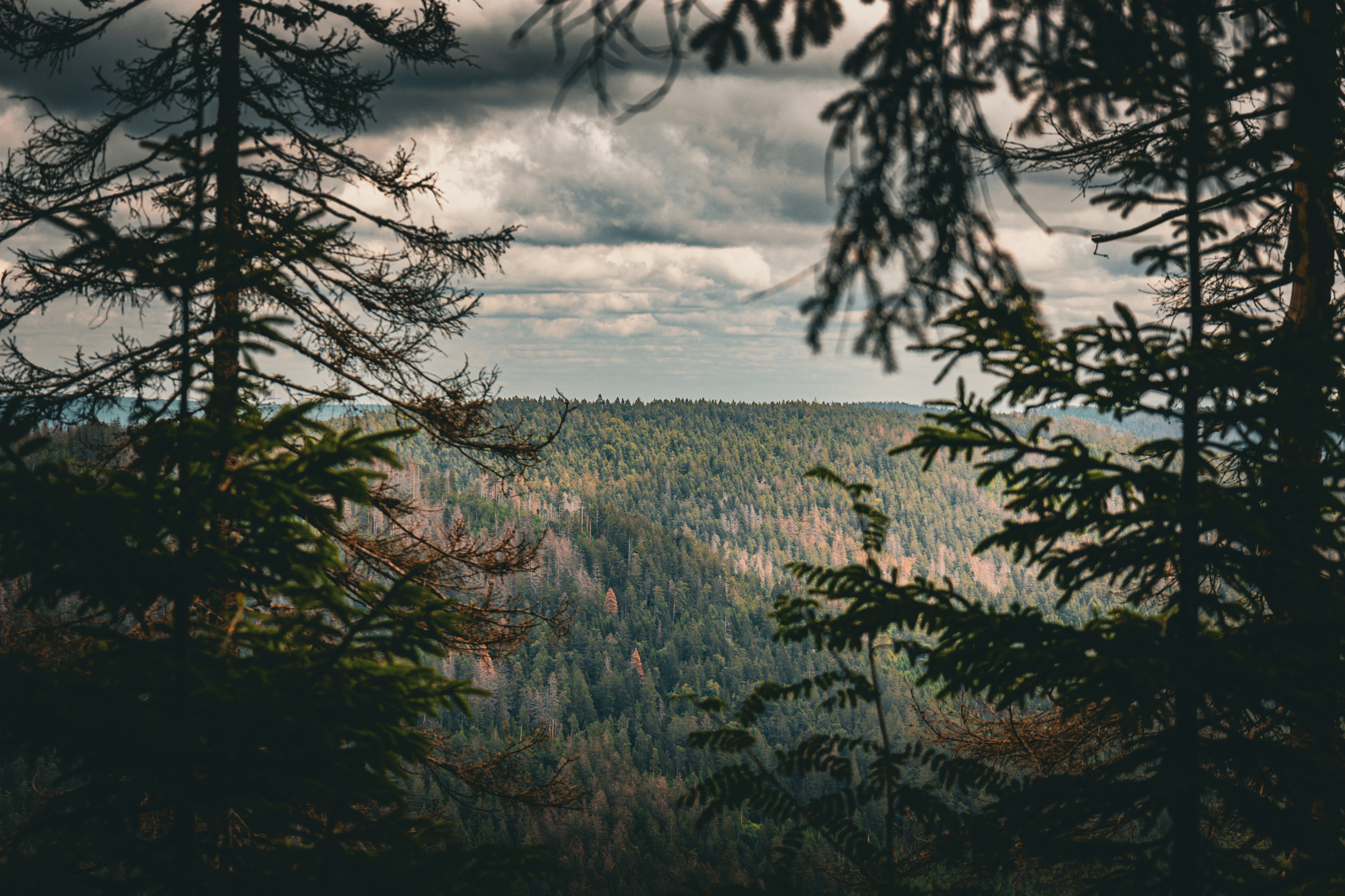 Photo by gnomezgrave