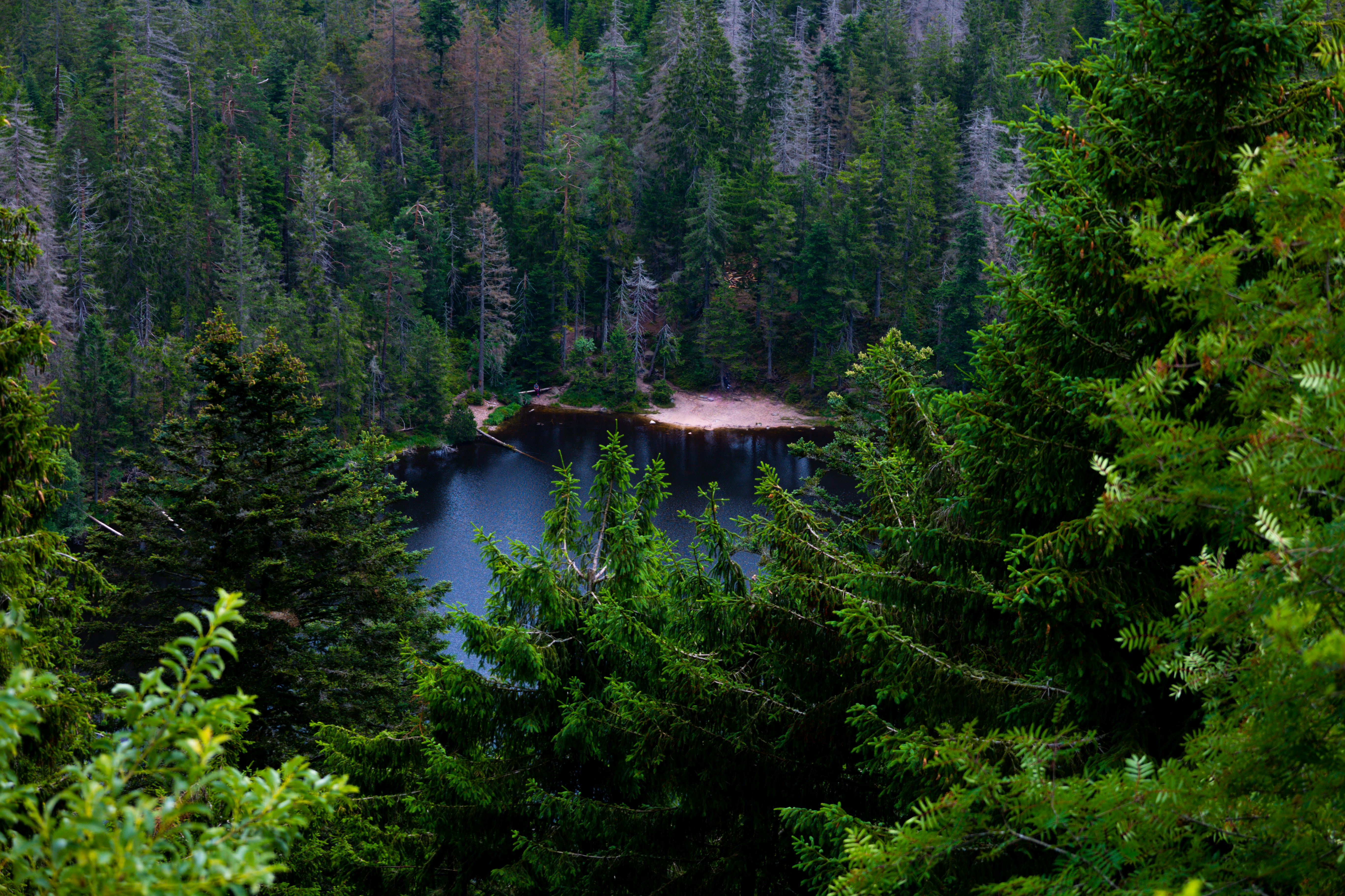 Photo by gnomezgrave