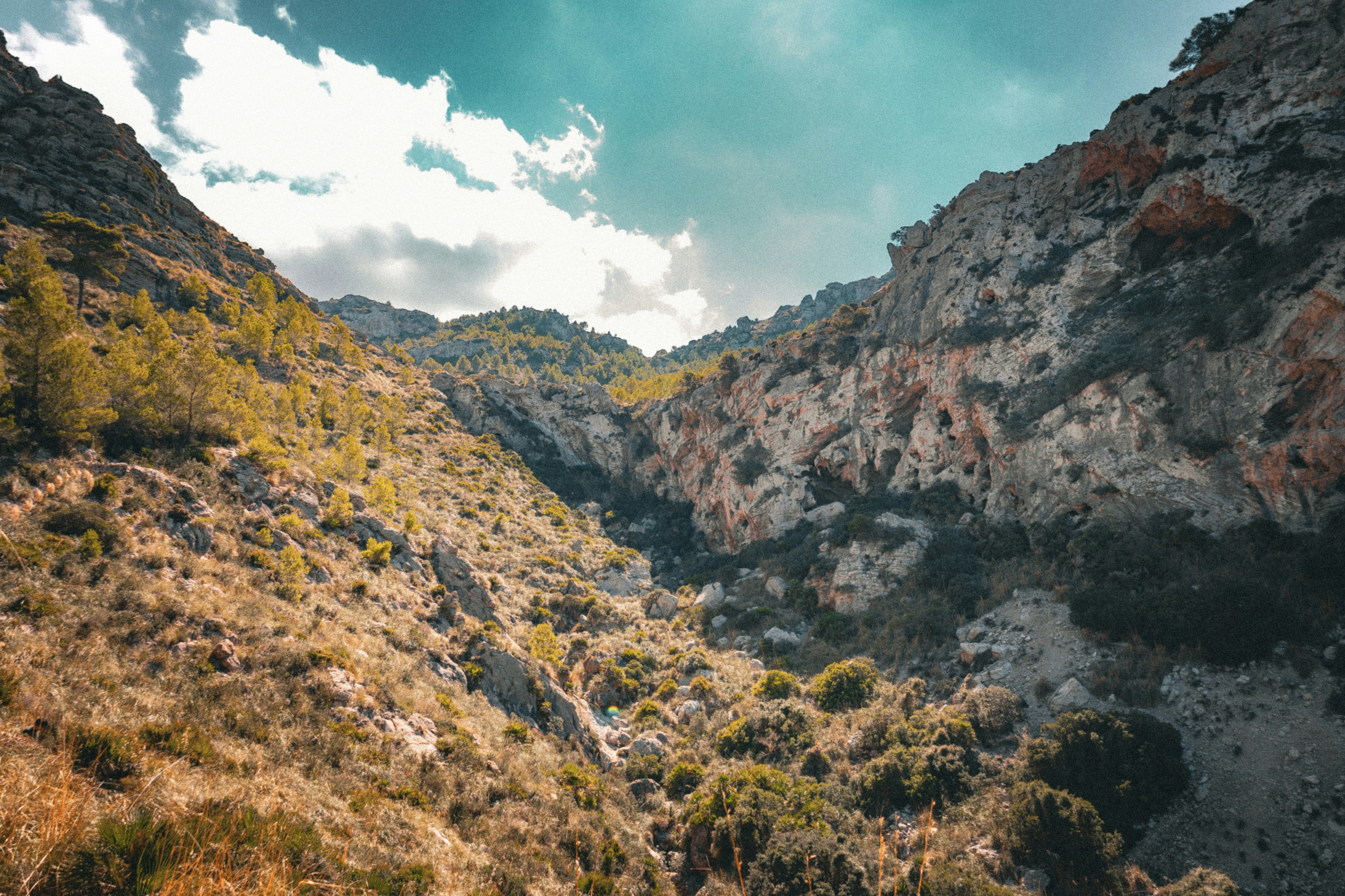 Photo by gnomezgrave