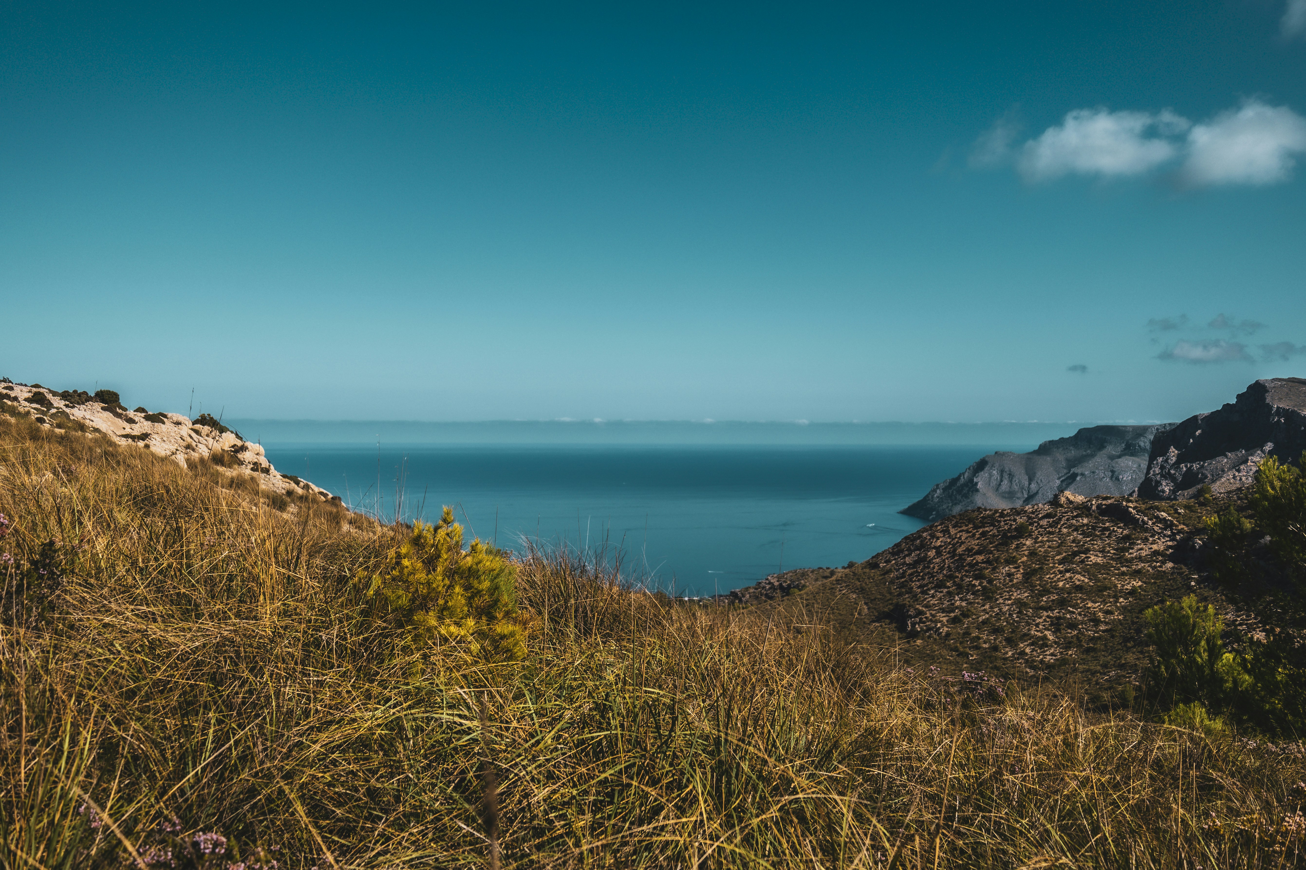 Photo by gnomezgrave