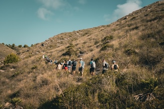A group of people hiking up a hill