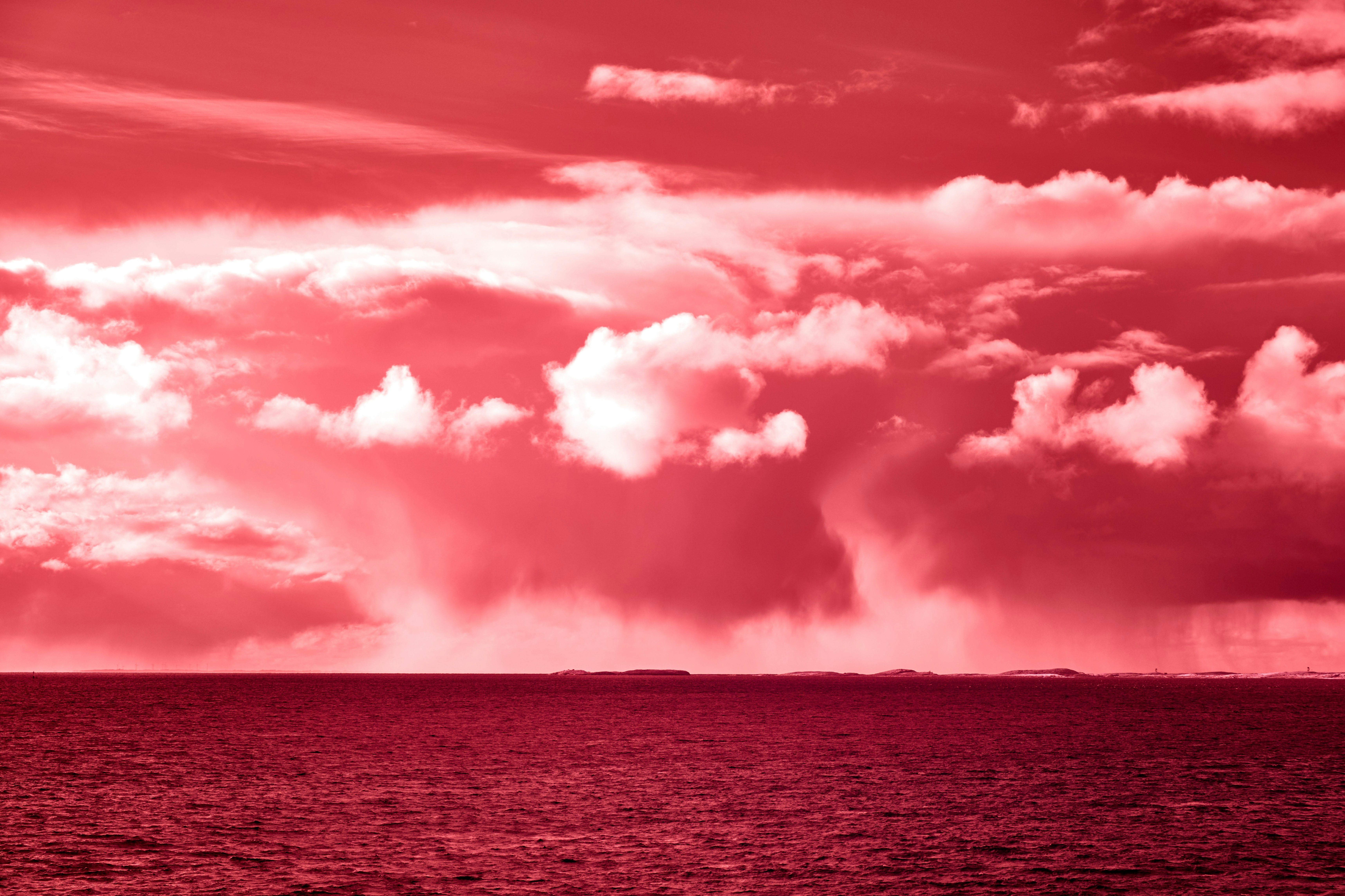 Photo by wolfgang_hasselmann