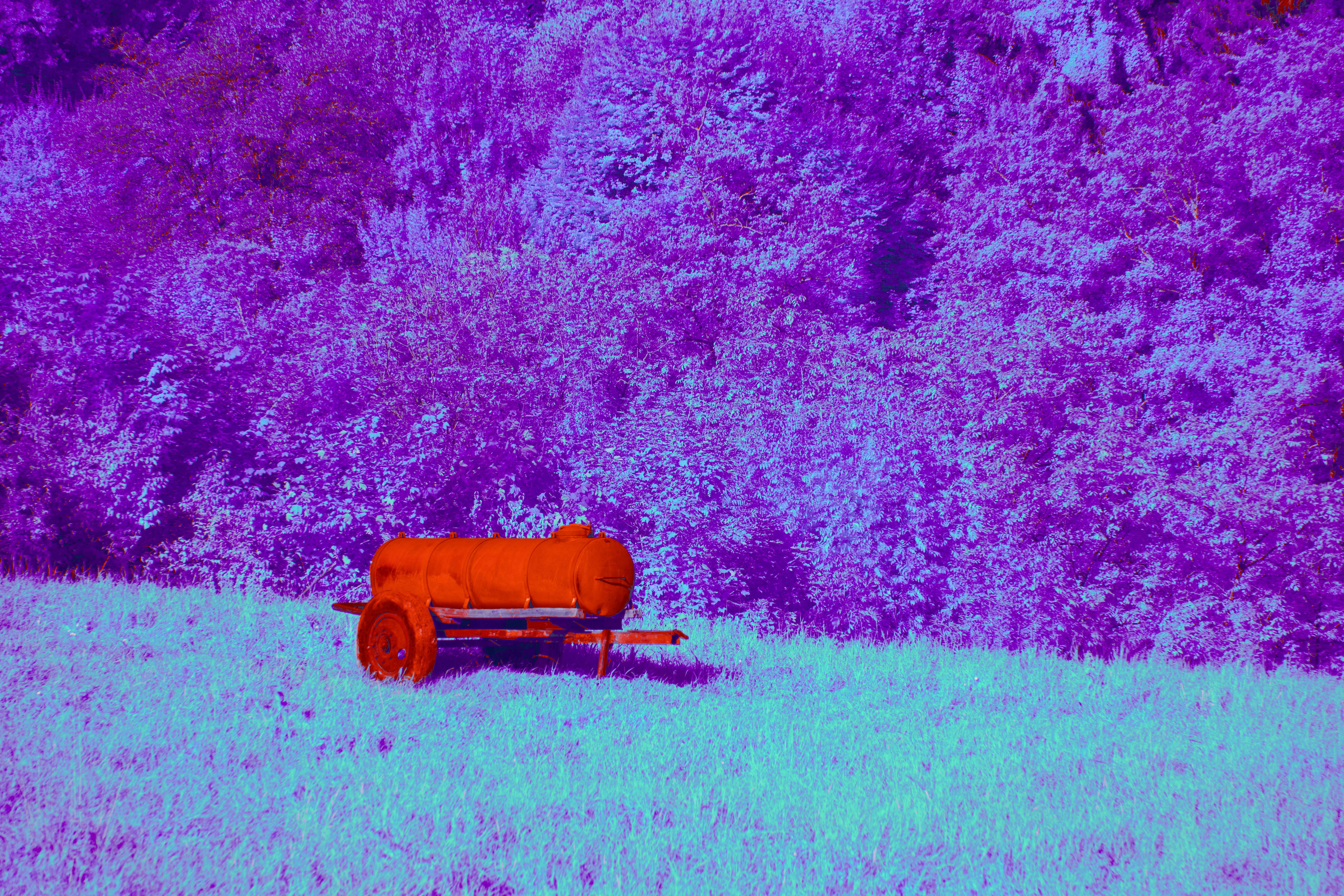 A red bench sitting in a field next to a forest